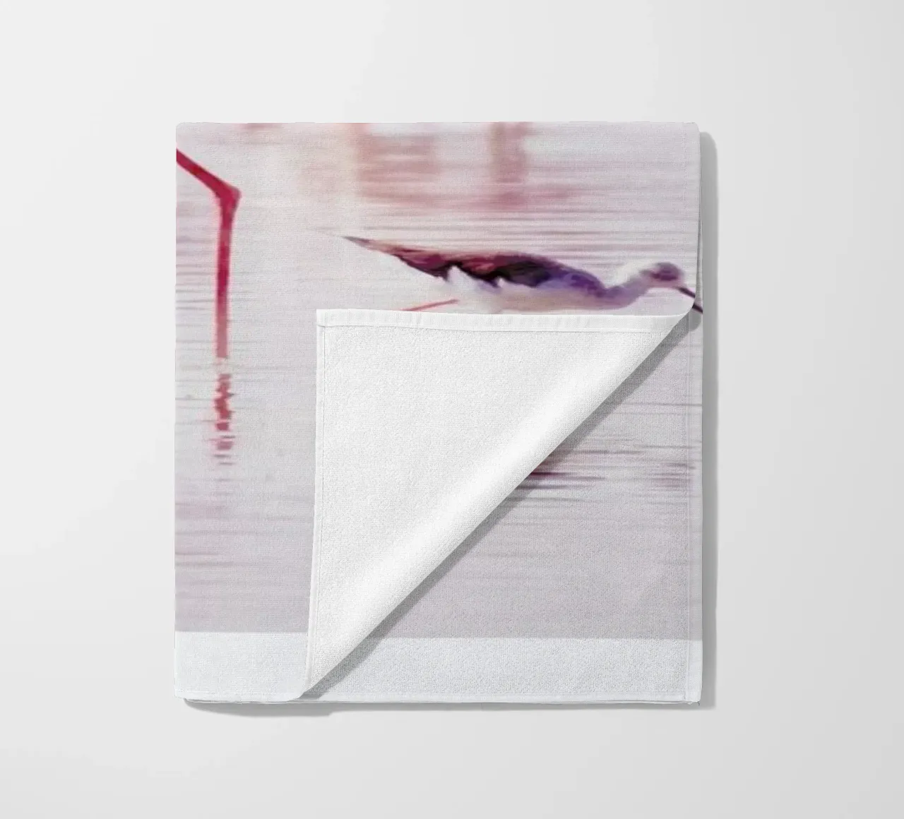 Flamingos in the Shallow telo mare da Natural Kingdom