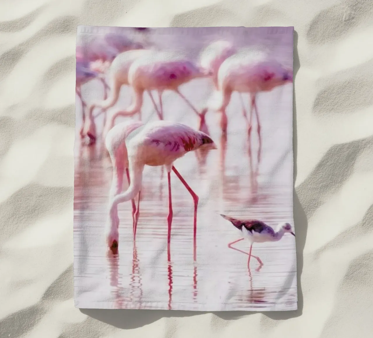 Flamingos in the Shallow telo mare da Natural Kingdom