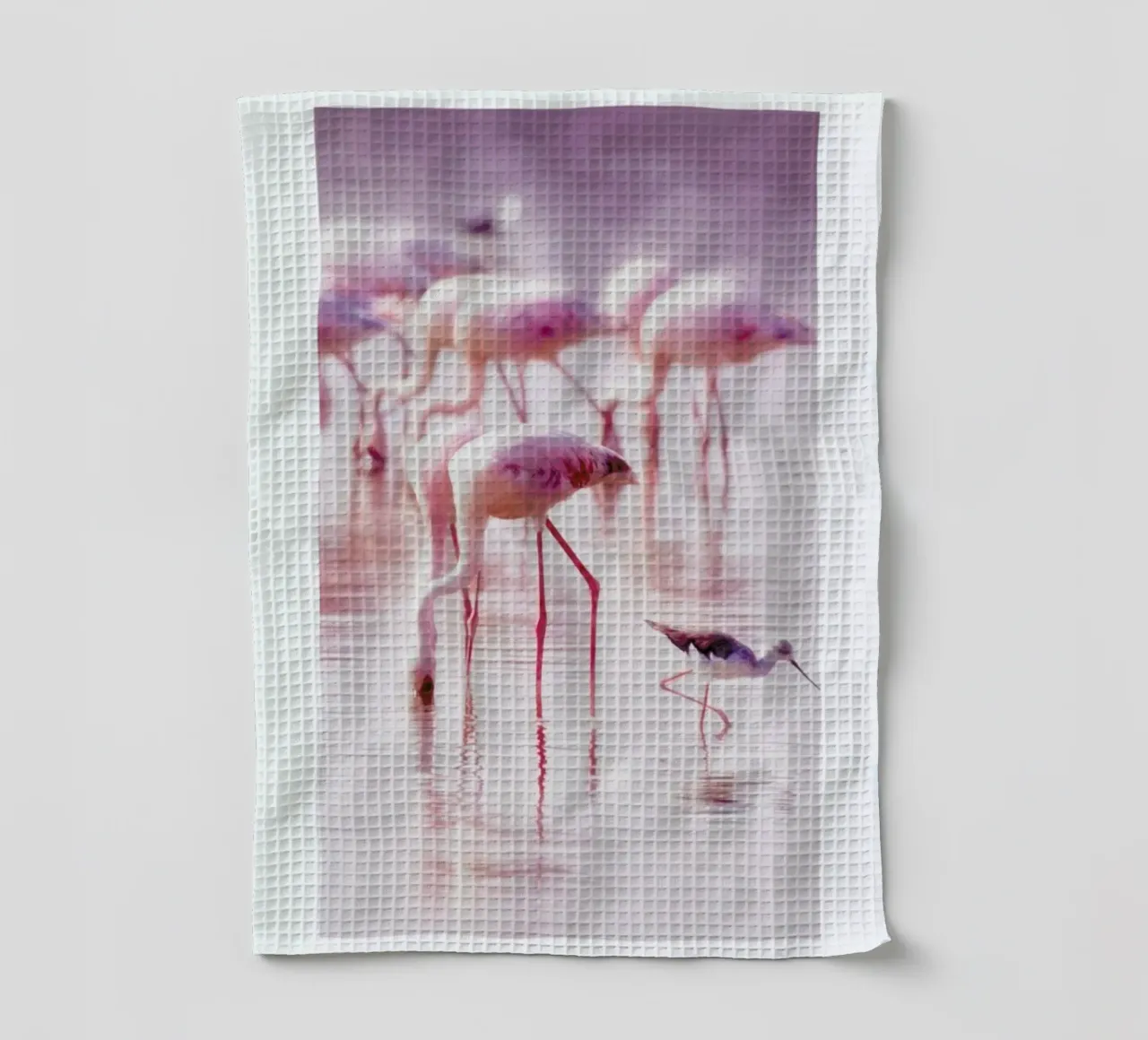 Flamingos in the Shallow canovaccio da cucina da Natural Kingdom