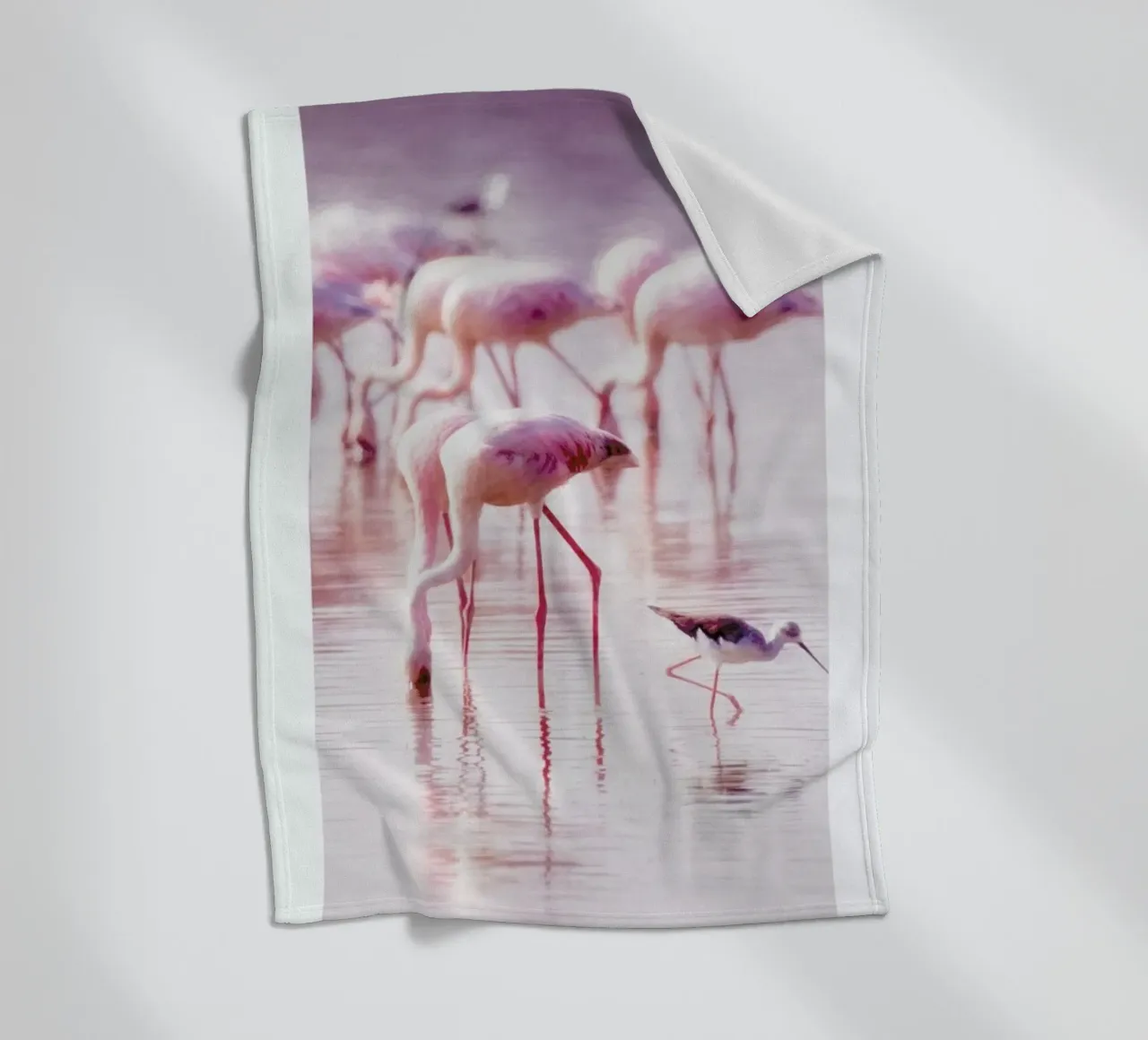 Flamingos in the Shallow coperta in pile da Natural Kingdom