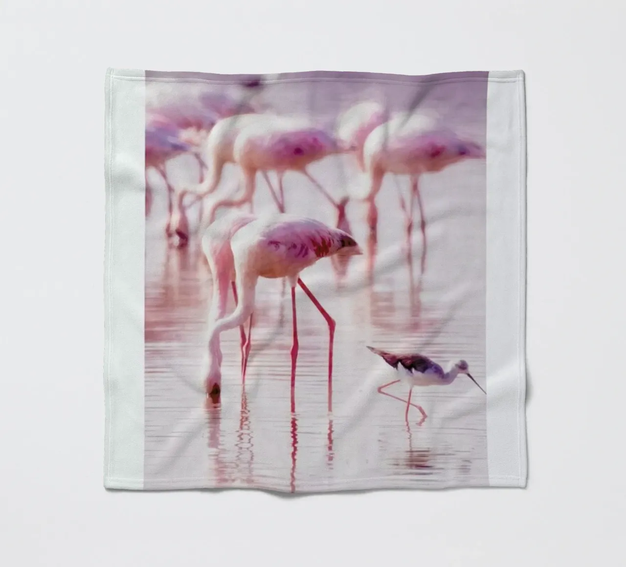 Flamingos in the Shallow coperta in pile da Natural Kingdom