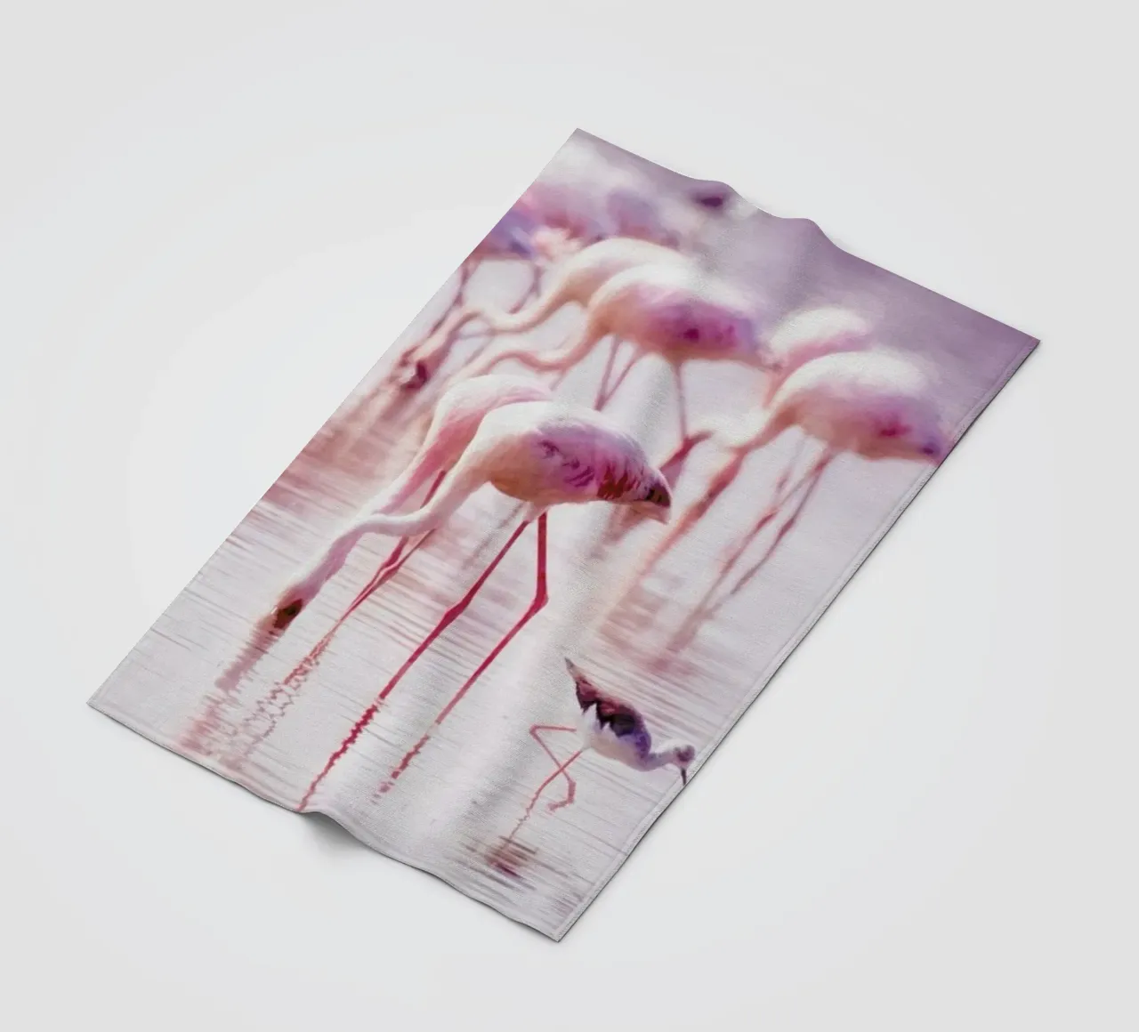 Flamingos in the Shallow coperta in pile da Natural Kingdom