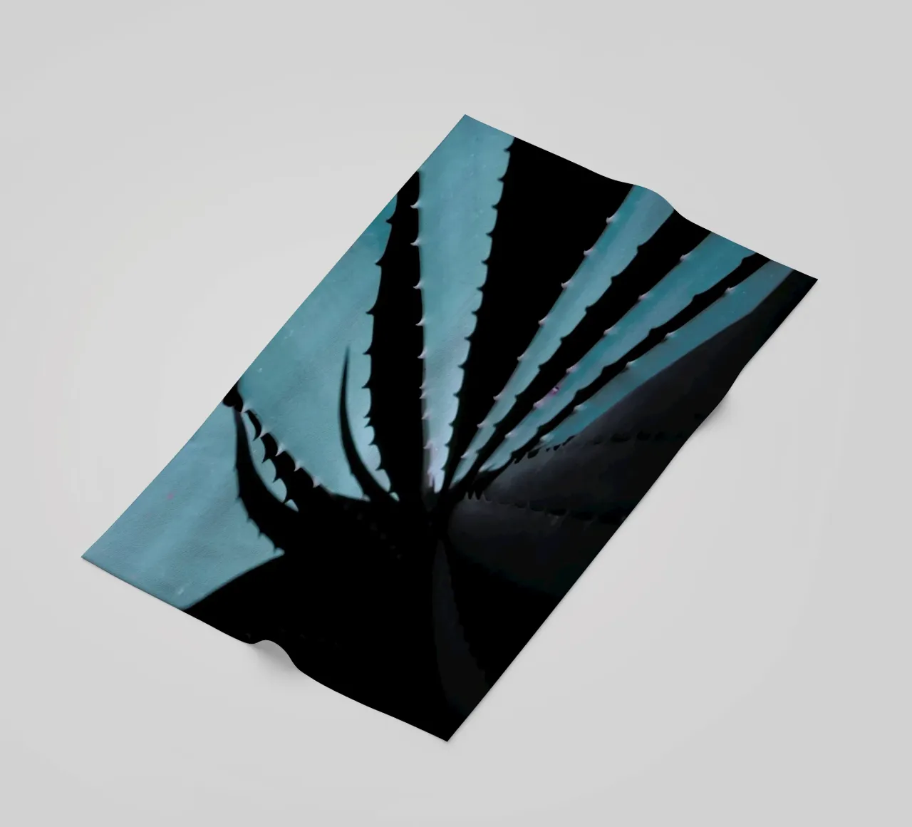 Aloe 02 telo mare da Froilein Juno