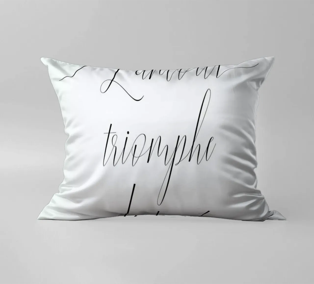 L'amour triomphe cuscino da typed