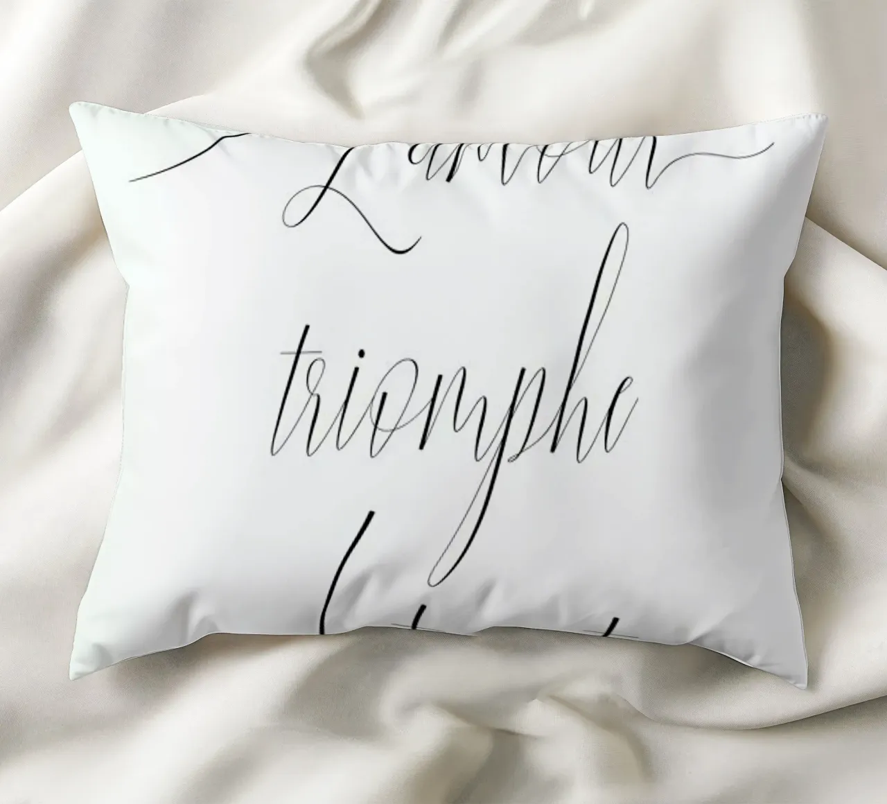 L'amour triomphe decorative cushion by typed