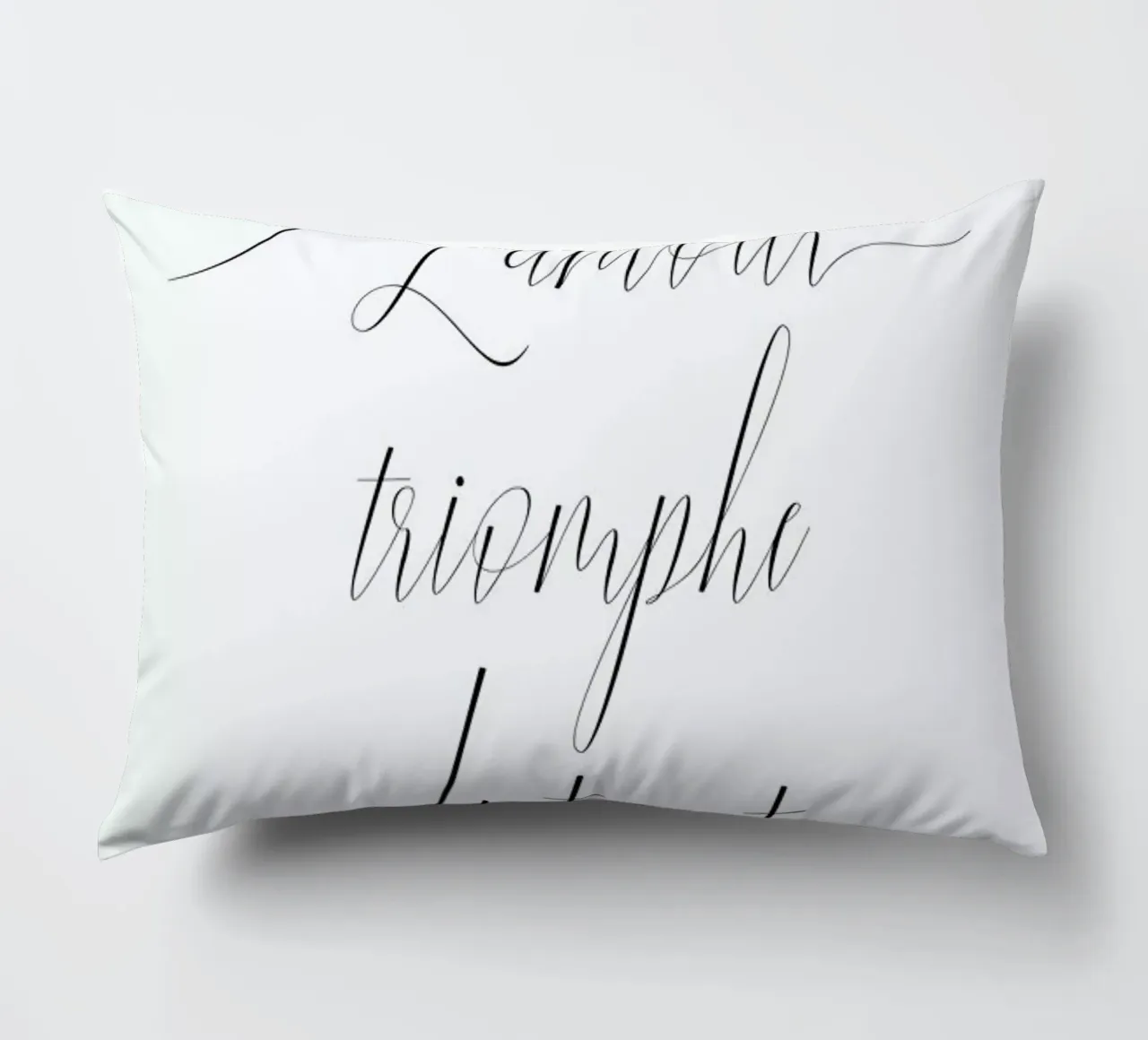 L'amour triomphe cuscino da typed