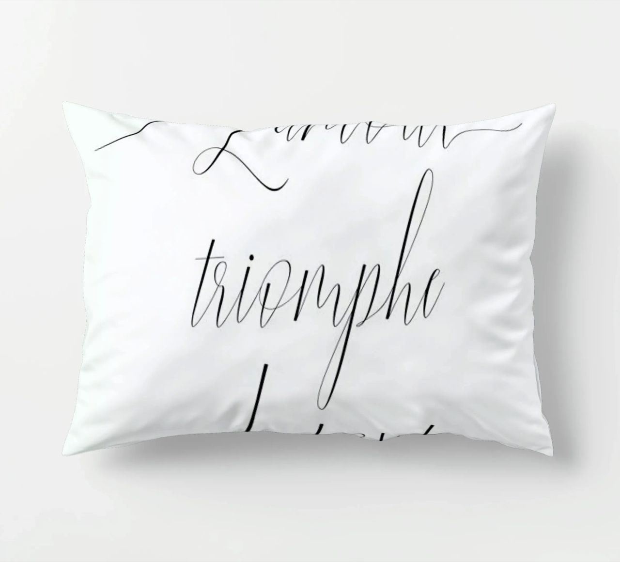 L'amour triomphe cuscino da typed