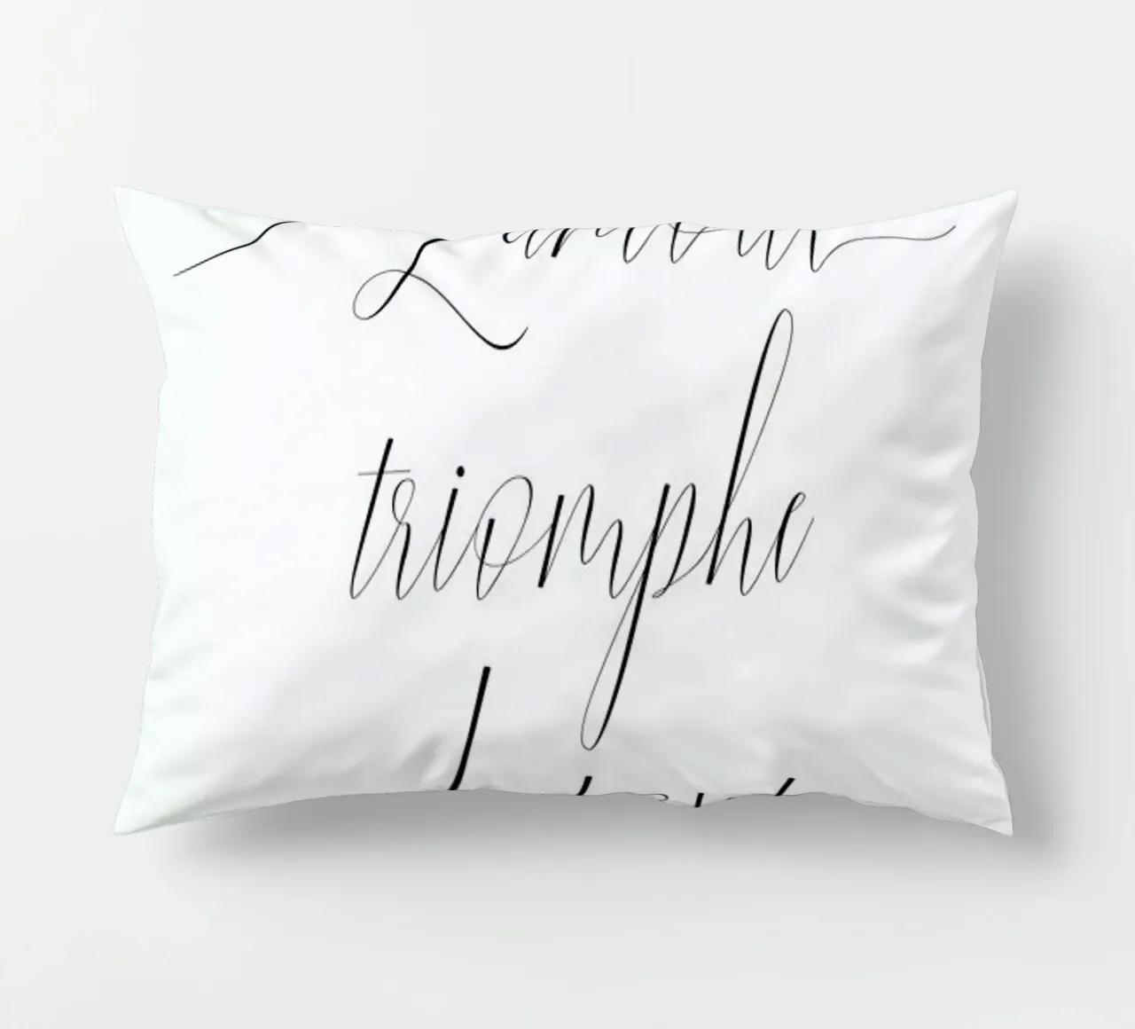 L'amour triomphe kussen van typed