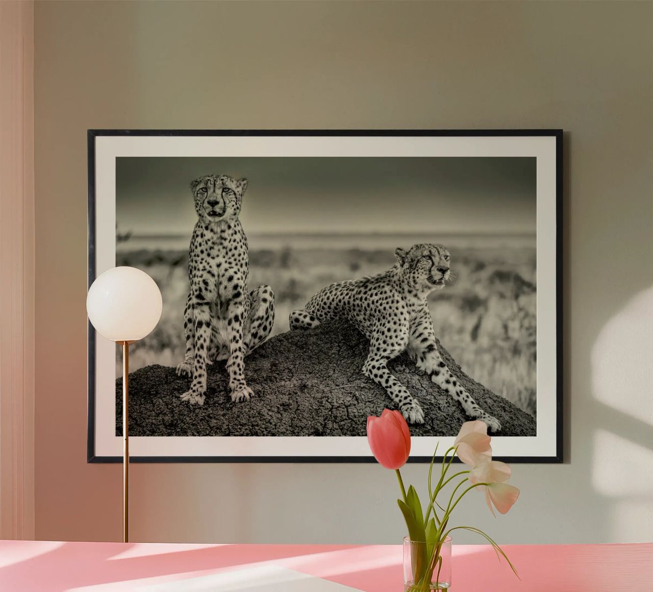 Two Cheetahs Watching Out - Henrike Scheid Poster mit Kunststoffrahmen von Pictufy