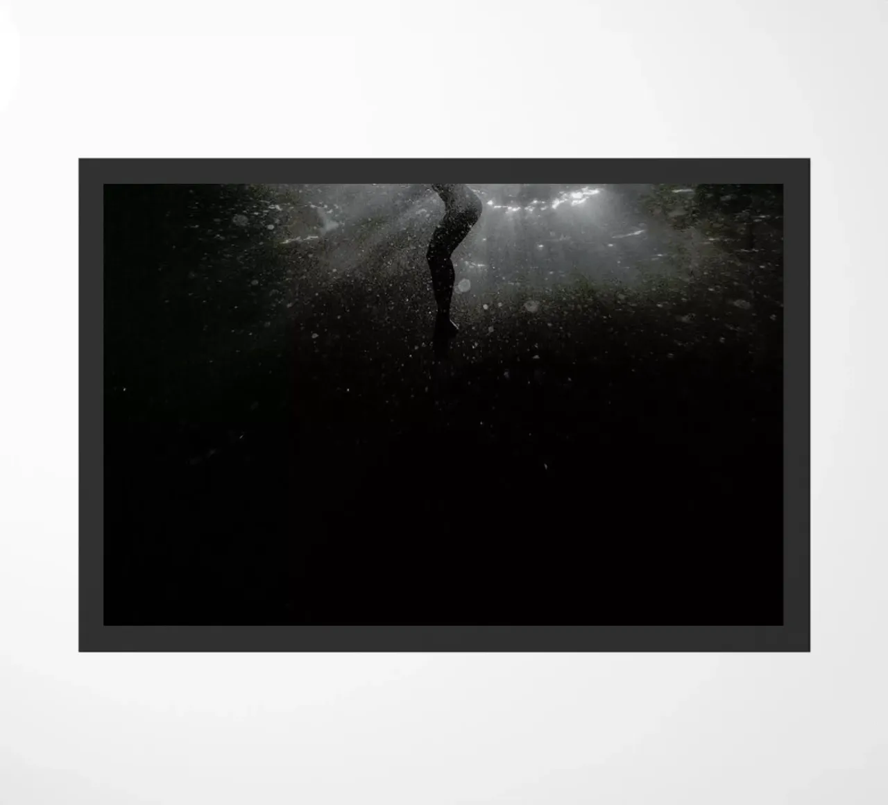 Diving Deep zerbino da Chris Abatzis