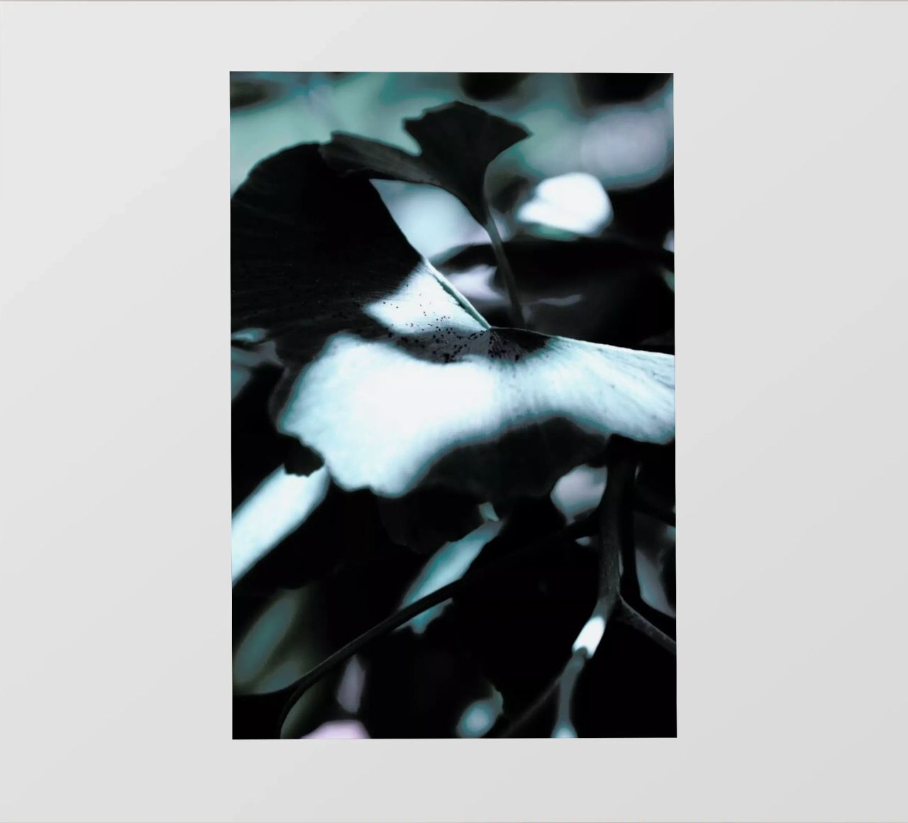 Ginkgo 01 telo in pvc da Froilein Juno