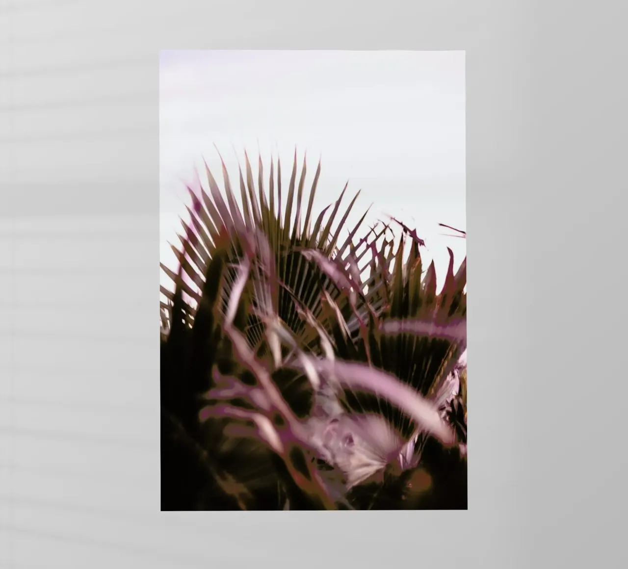 Moving Palms pellicola backlit da Chris Abatzis