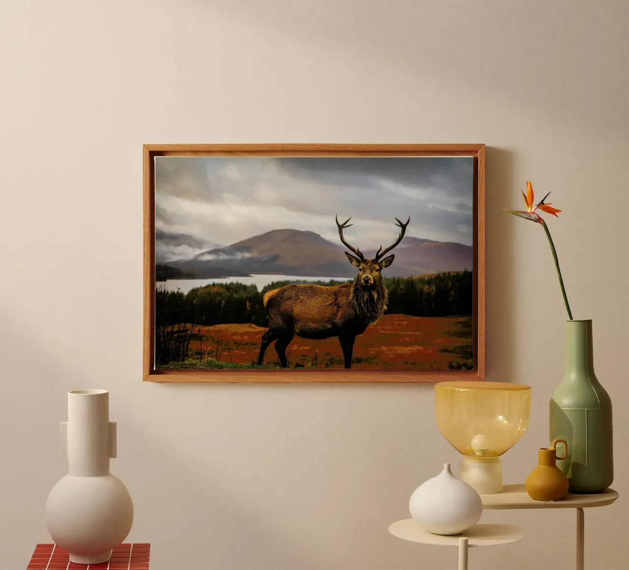 Scottish Stag - Adrian Popan tela con Cornice a cassetta da Pictufy