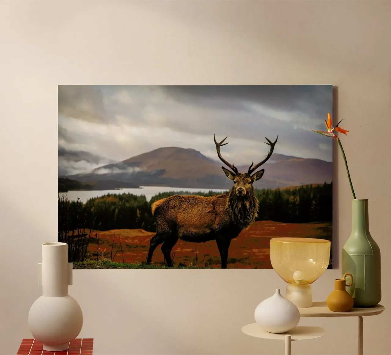 Scottish Stag - Adrian Popan tela con Cornice a cassetta da Pictufy