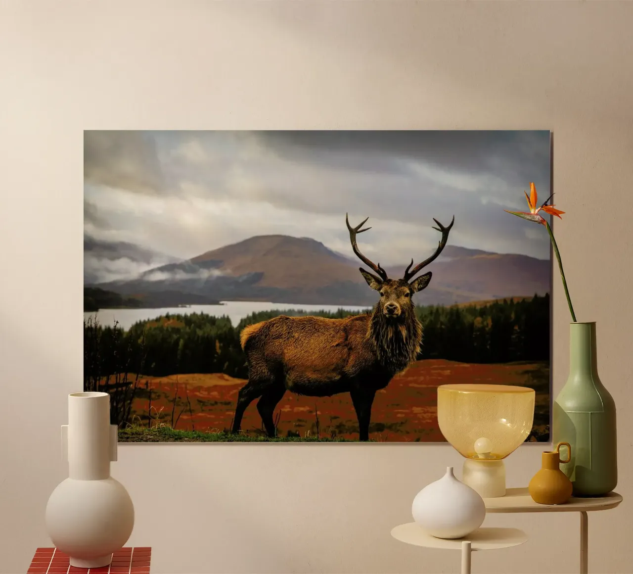 Scottish Stag - Adrian Popan carta hahnemühle da Pictufy