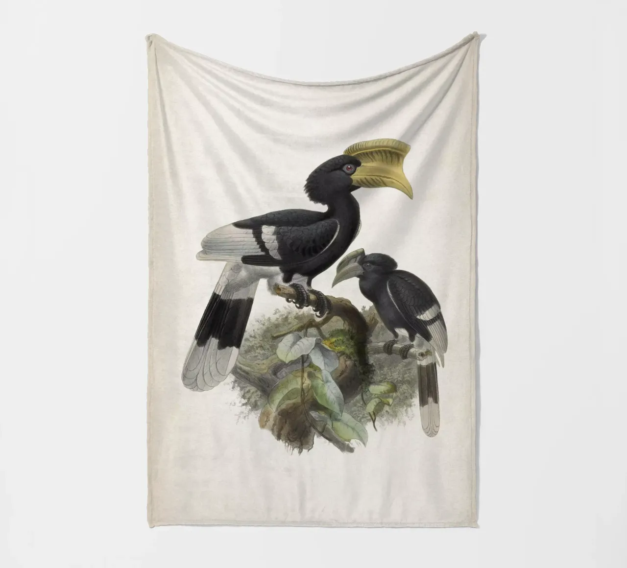 Vintage Keulemans 1 Bycanistes Cylindricus coperta in pile da Vintage Print Collection