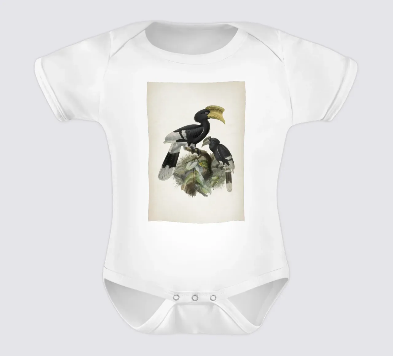 Vintage Keulemans 1 Bycanistes Cylindricus body neonato maniche corte da Vintage Print Collection