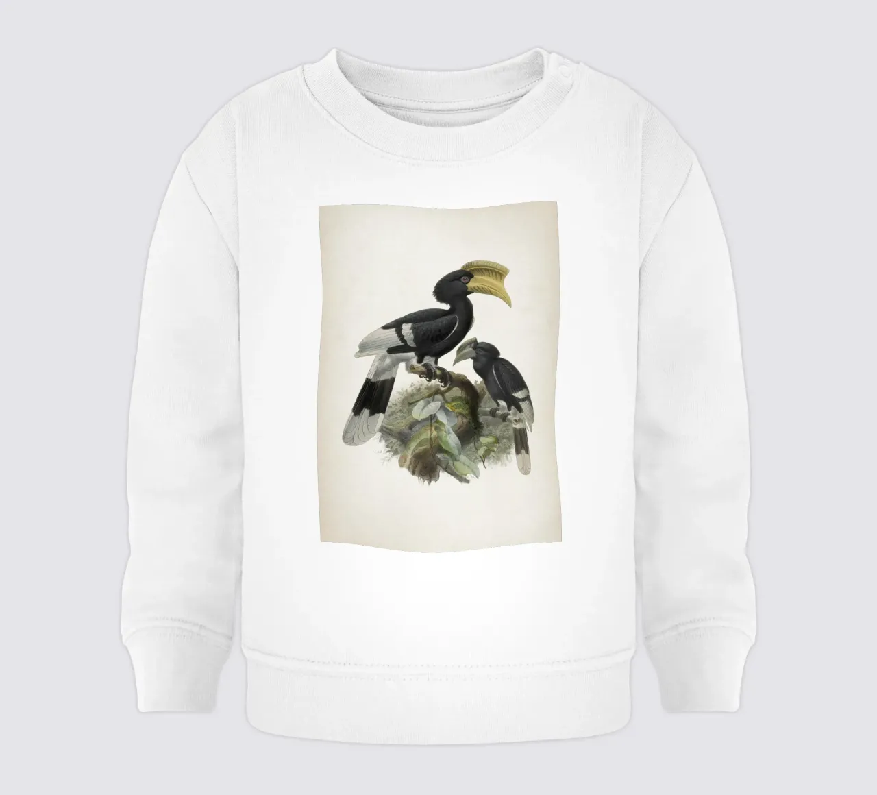 Vintage Keulemans 1 Bycanistes Cylindricus felpa neonato da Vintage Print Collection