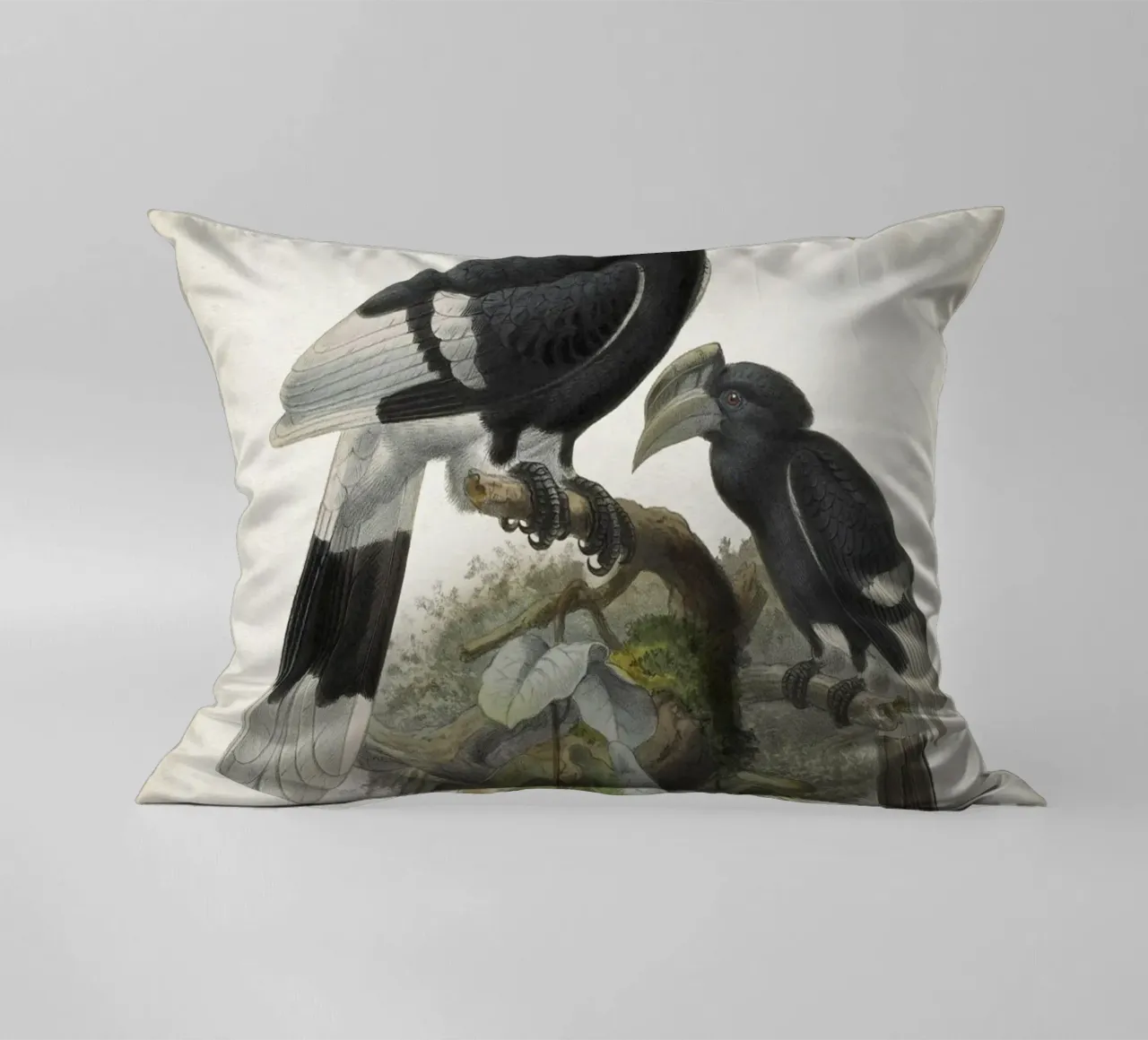 Vintage Keulemans 1 Bycanistes Cylindricus cuscino da Vintage Print Collection