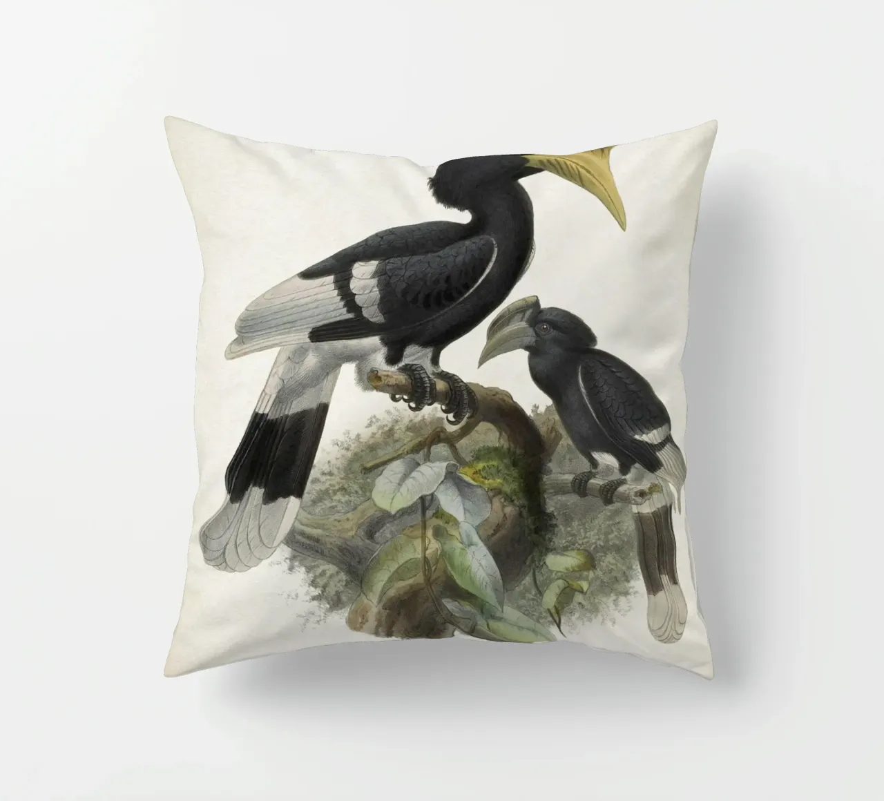 Vintage Keulemans 1 Bycanistes Cylindricus cuscino da Vintage Print Collection