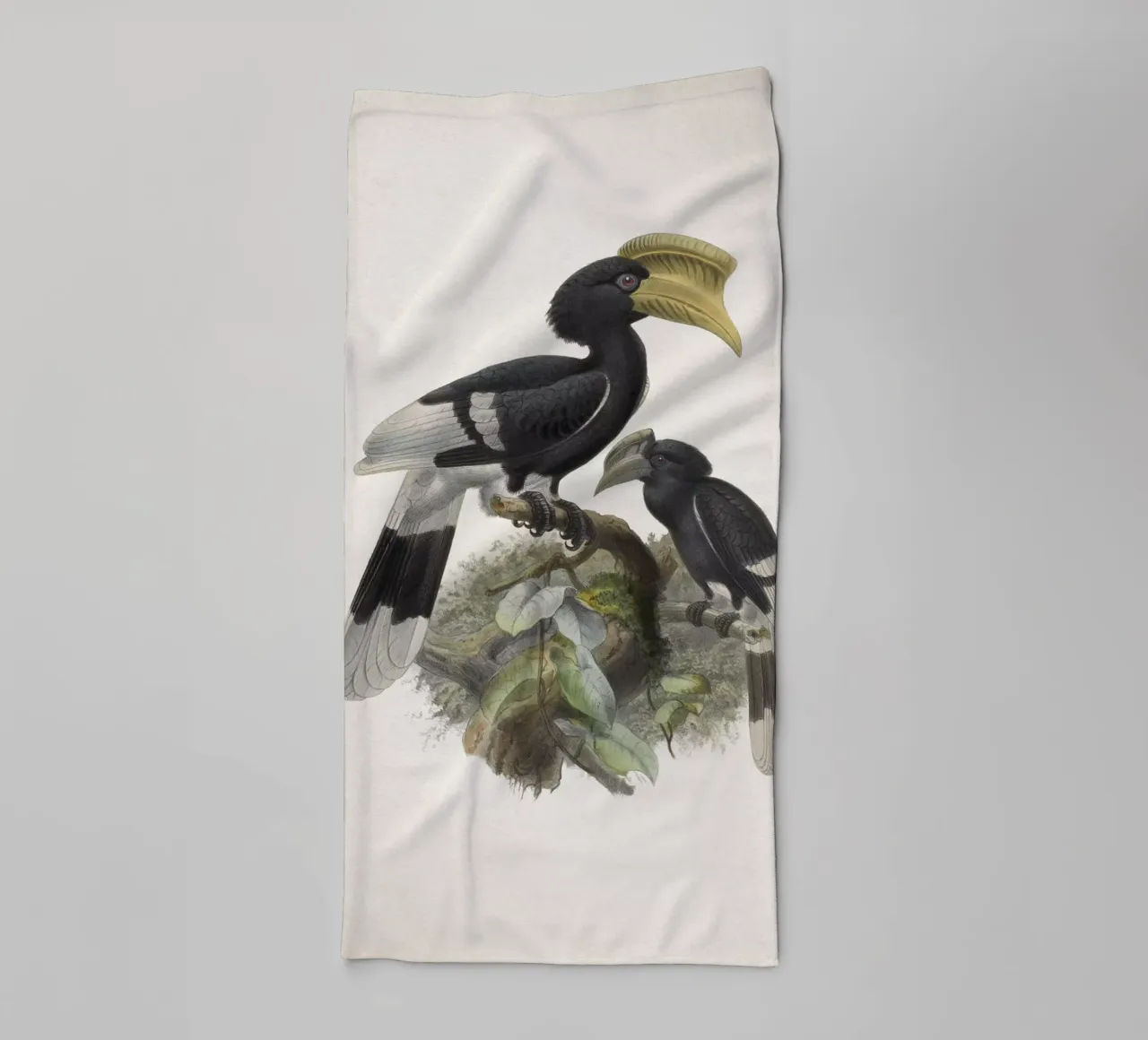 Vintage Keulemans 1 Bycanistes Cylindricus asciugamano da bagno da Vintage Print Collection