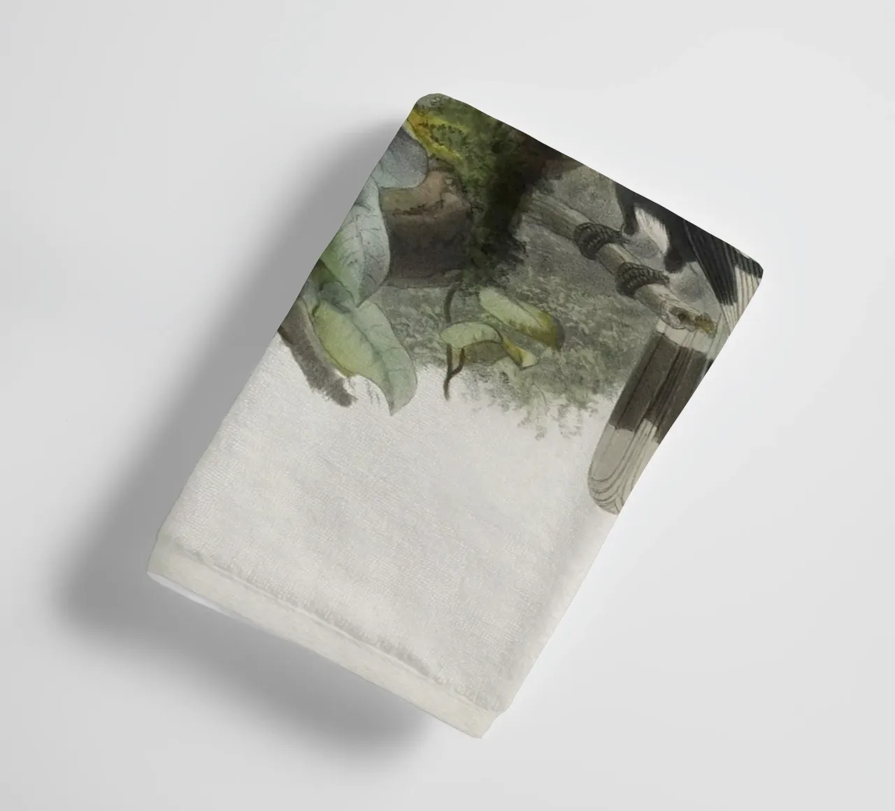 Vintage Keulemans 1 Bycanistes Cylindricus asciugamano da bagno da Vintage Print Collection