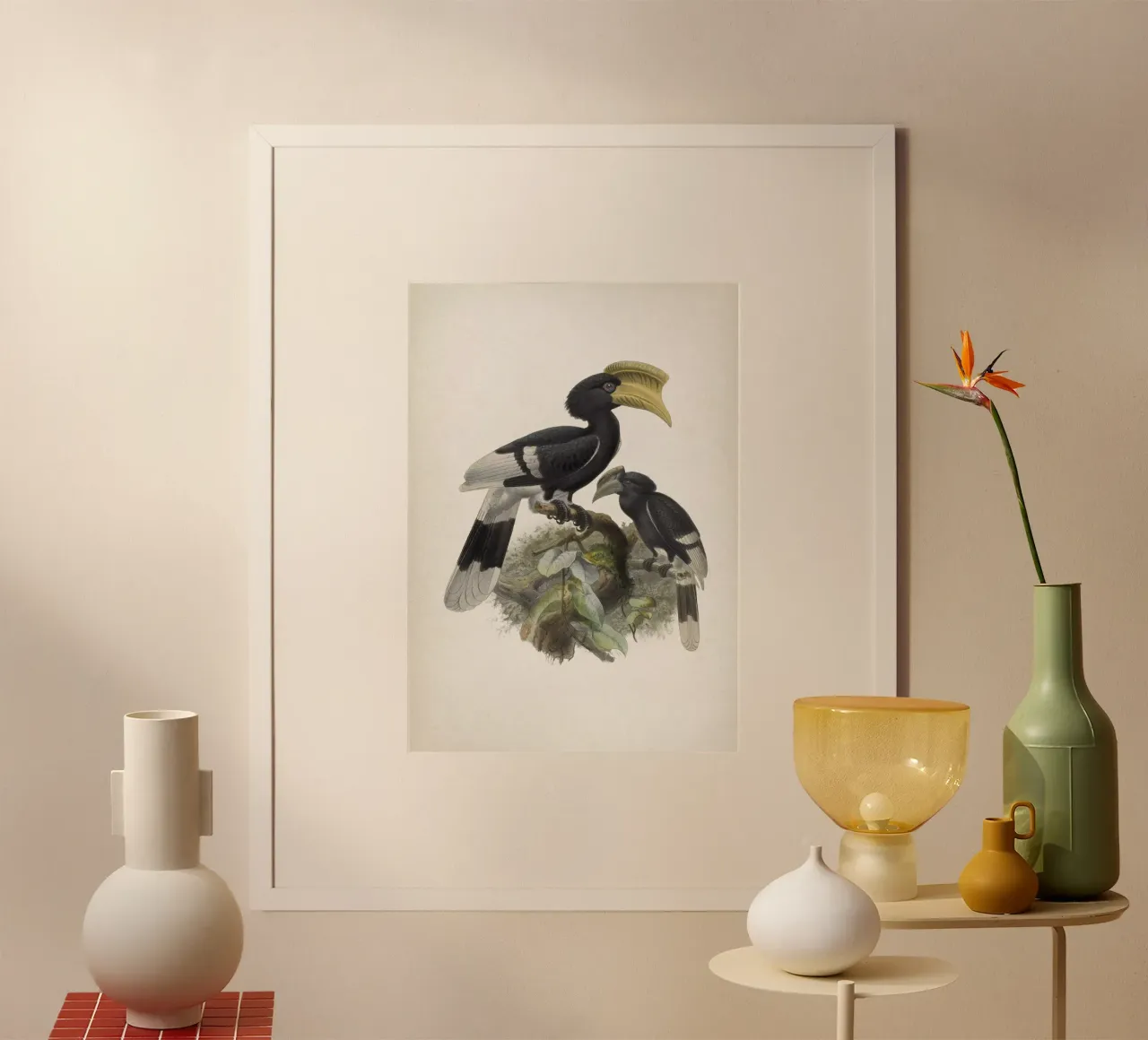 Vintage Keulemans 1 Bycanistes Cylindricus carta hahnemühle da Vintage Print Collection