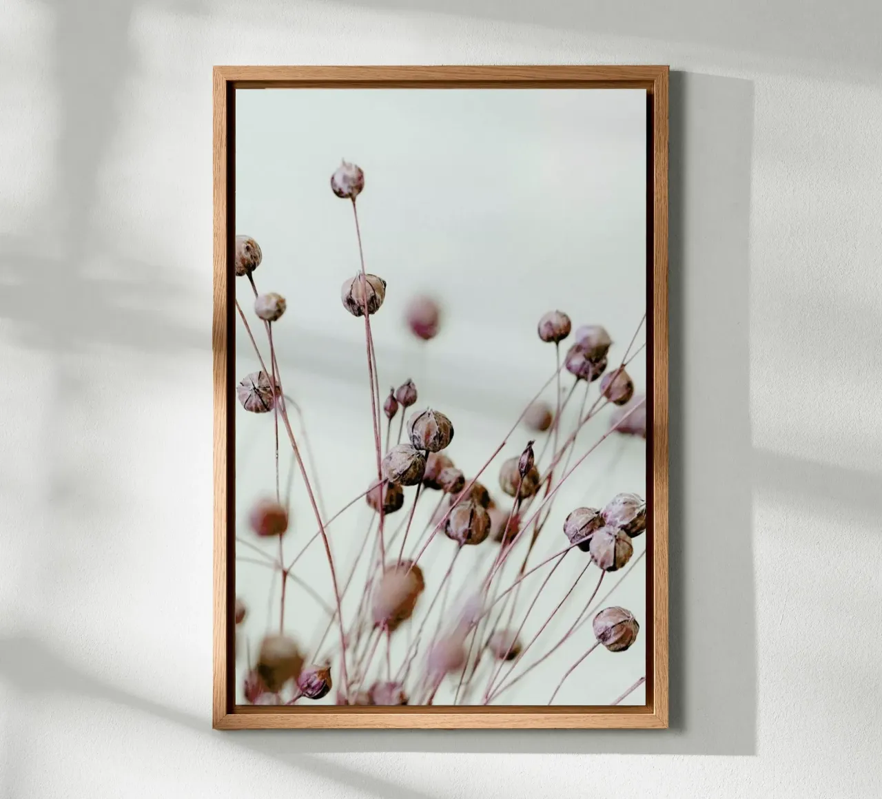 Poppy Heads forex plate by Flora & Fauna