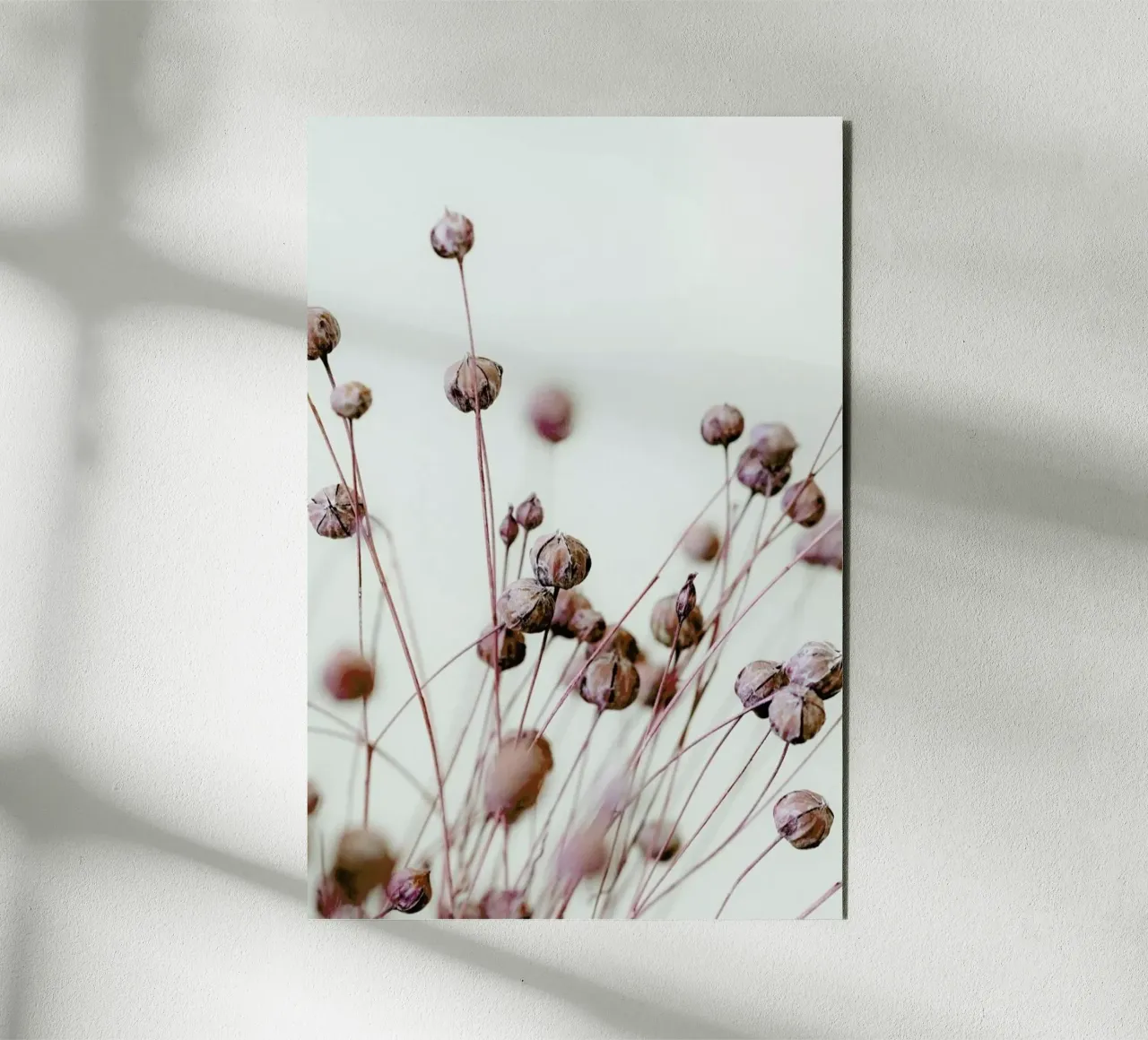Poppy Heads forex plate by Flora & Fauna
