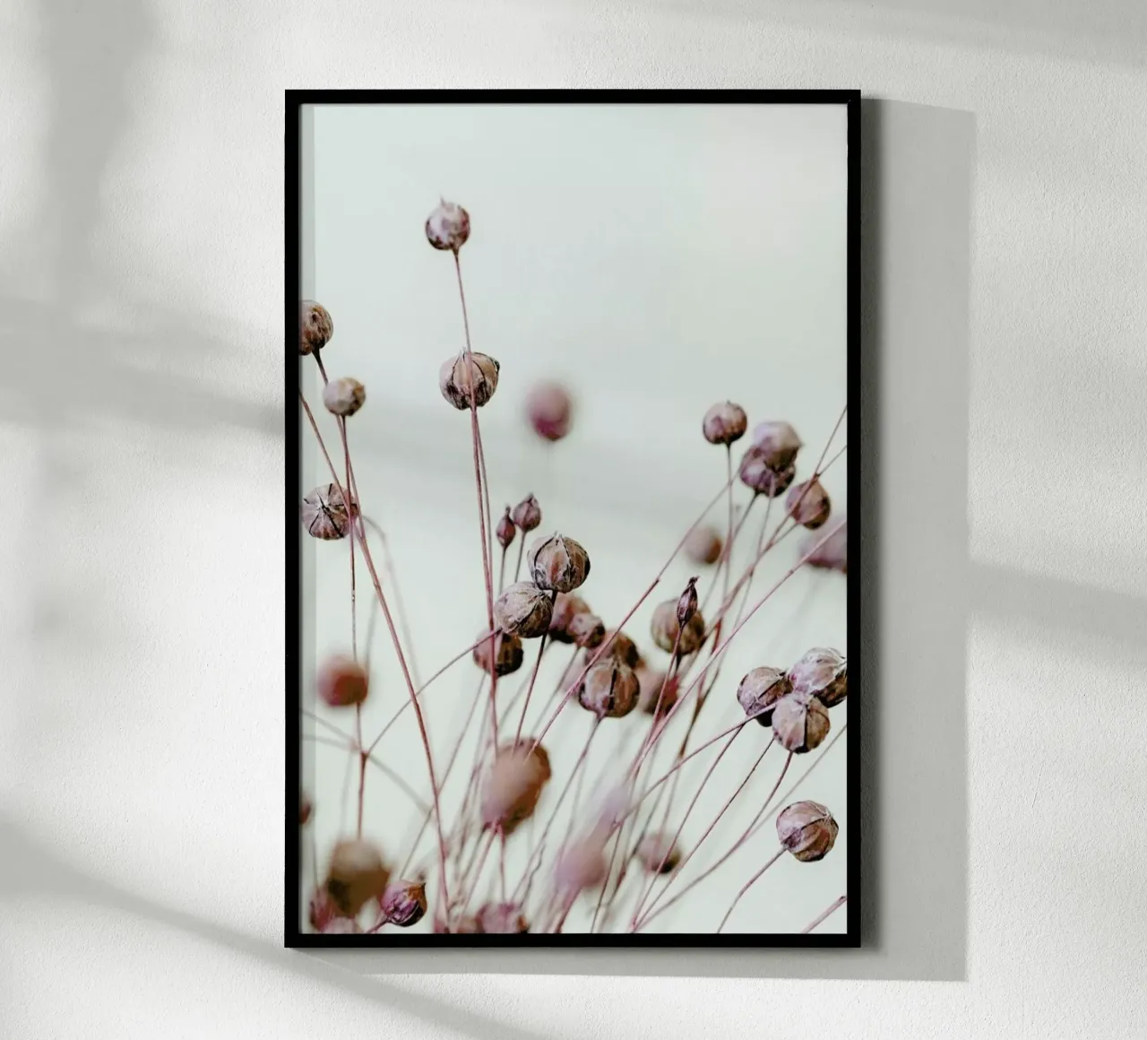 Poppy Heads poster by Flora & Fauna