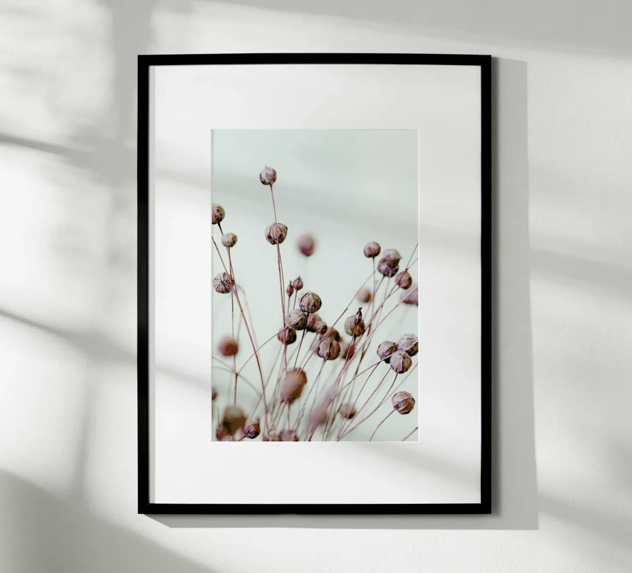 Poppy Heads poster by Flora & Fauna