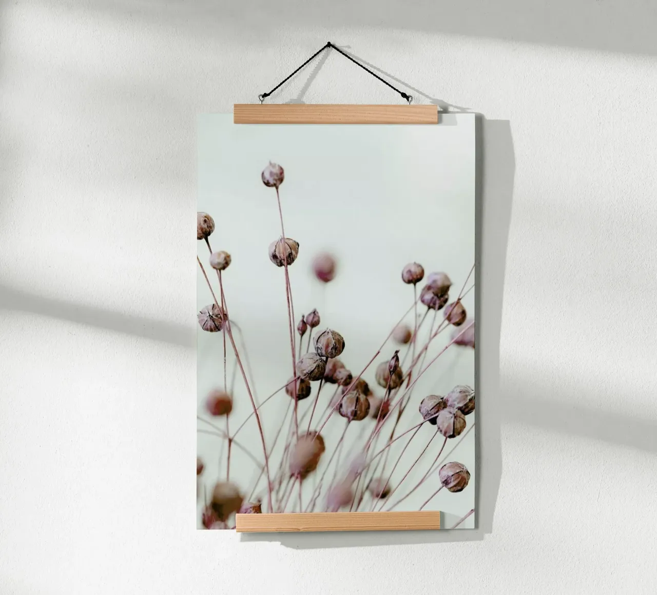 Poppy Heads poster by Flora & Fauna