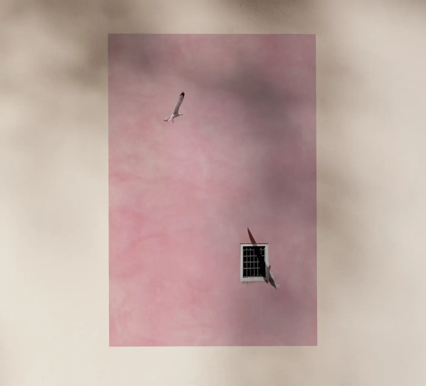 Prison Break pellicola backlit da Rupert Höller