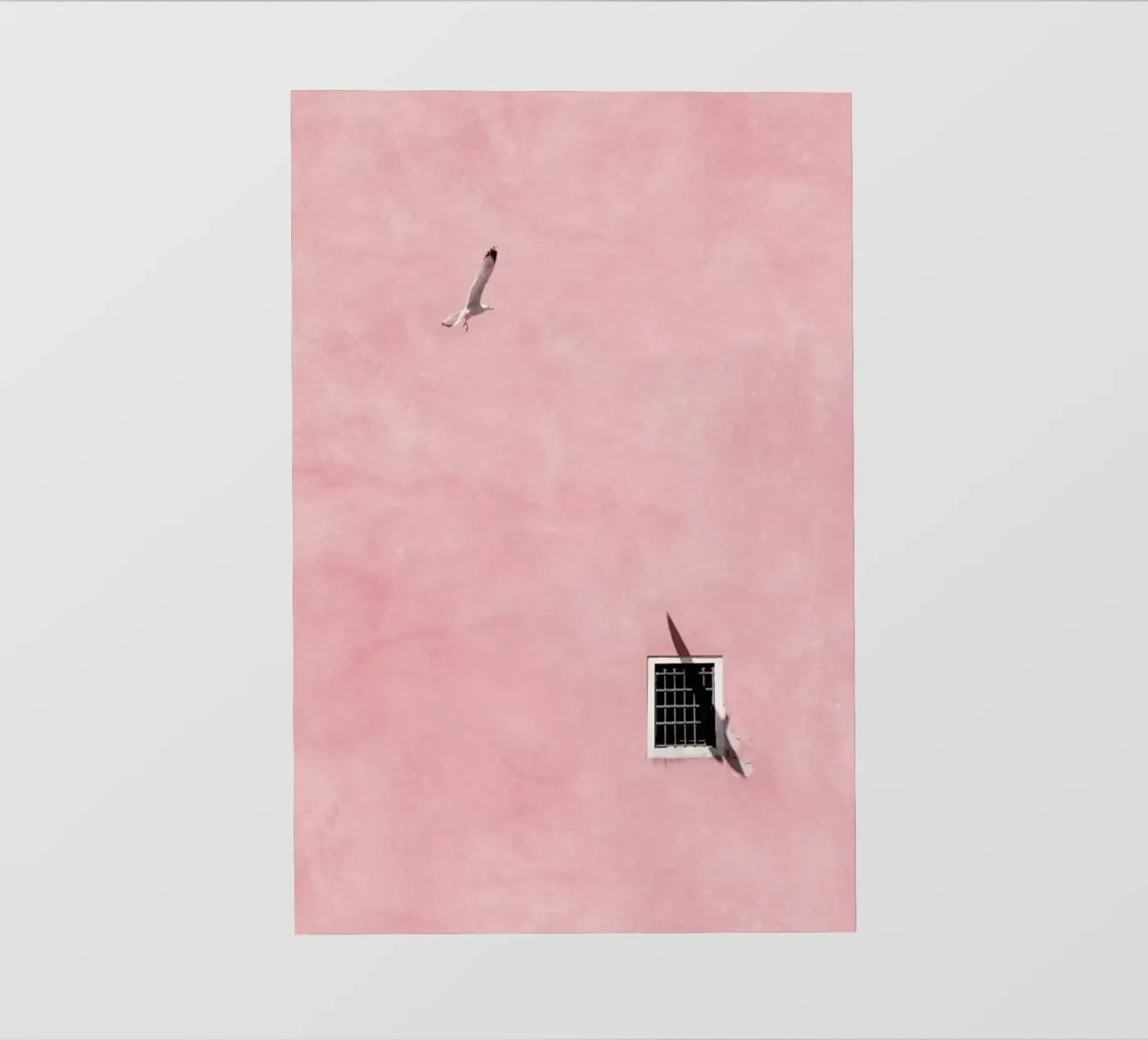 Prison Break pellicola backlit da Rupert Höller