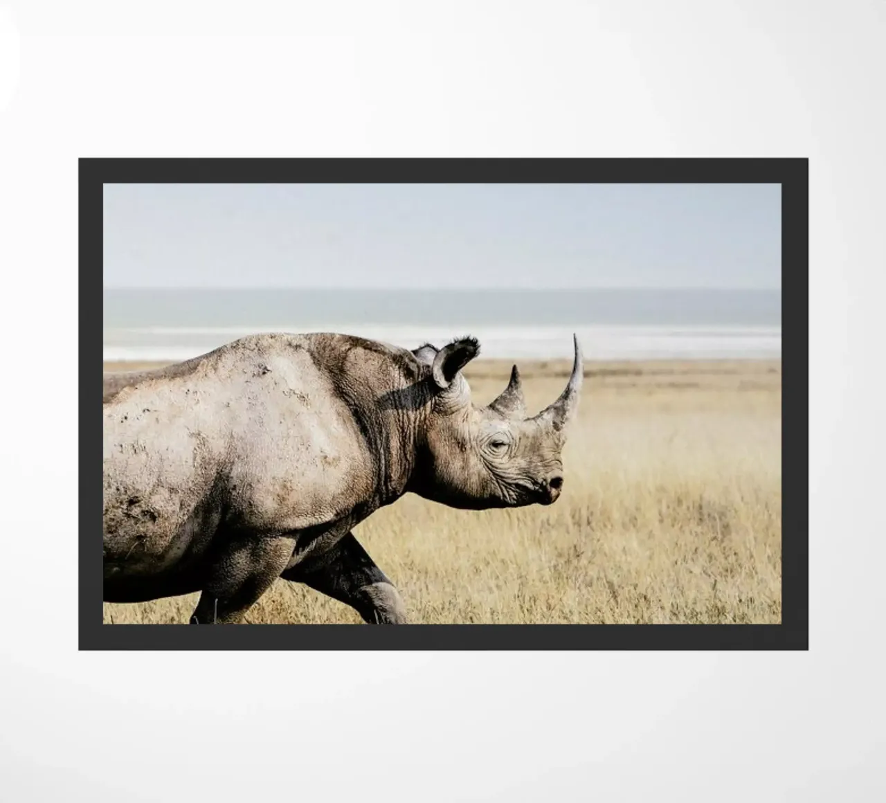 Rhino zerbino da Natural Kingdom