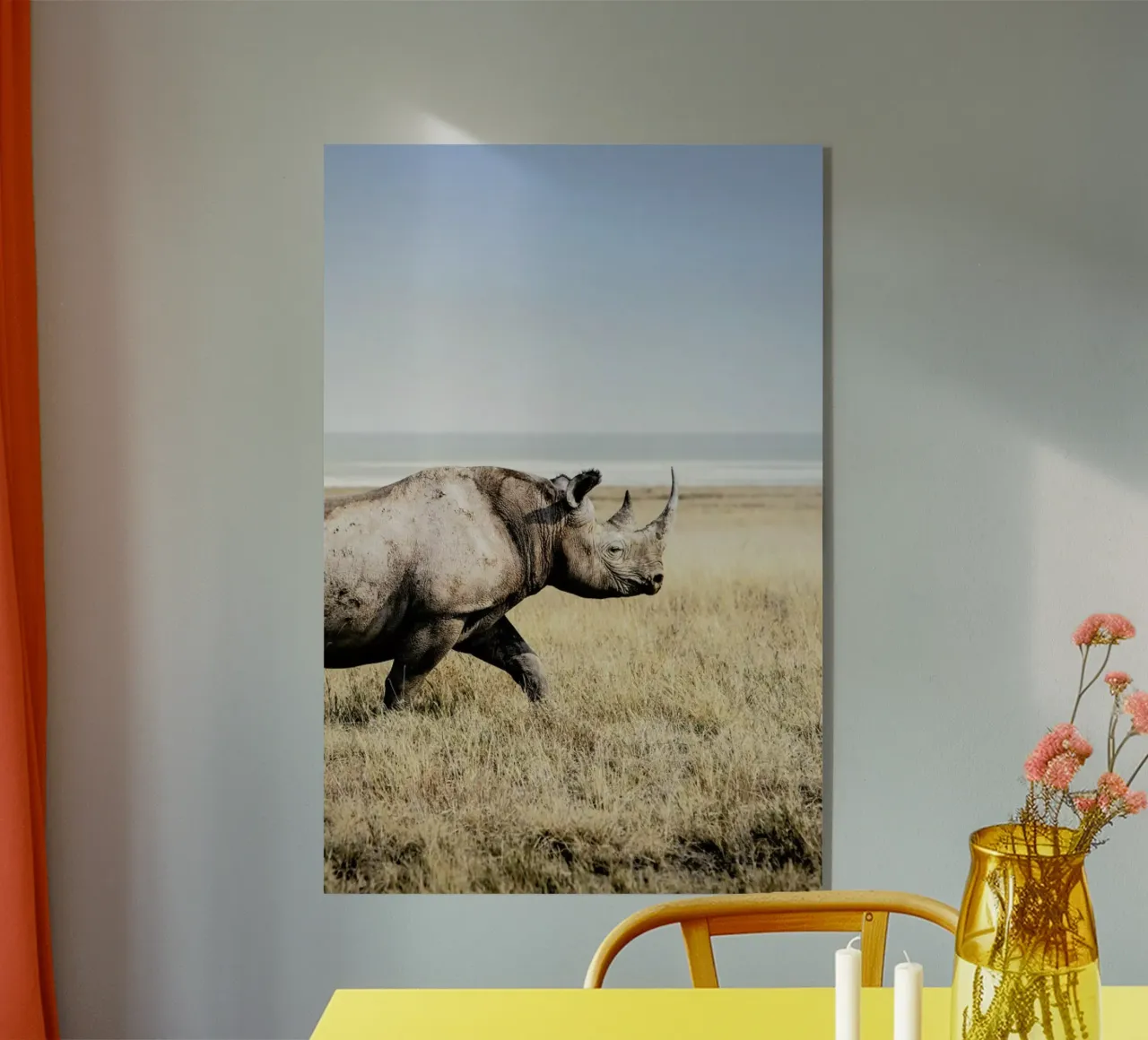 Rhino plexiglass da Natural Kingdom