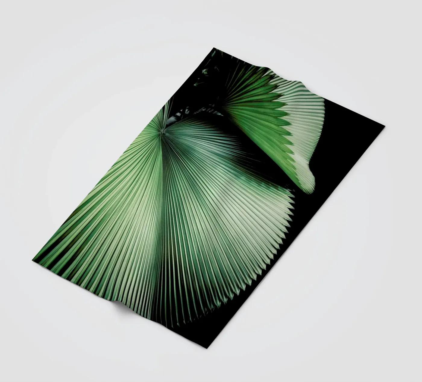 Sharp Palm fleecedeken van Flora & Fauna