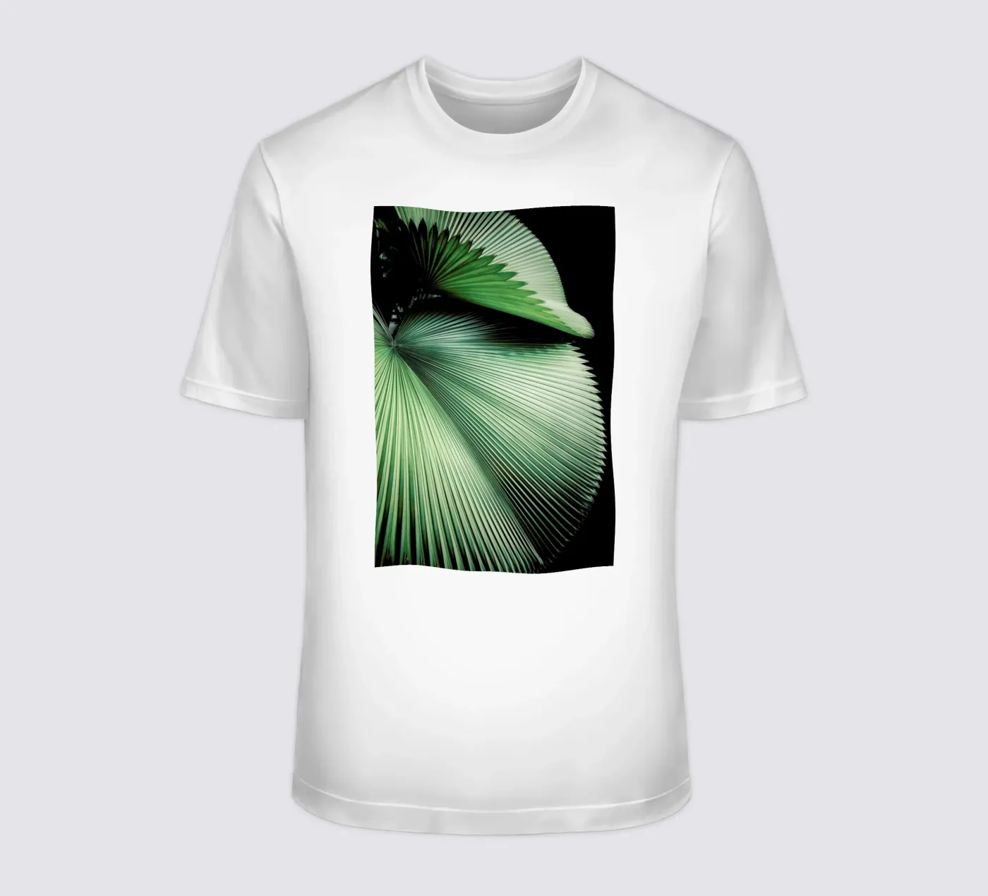 Sharp Palm t-shirt da Flora & Fauna