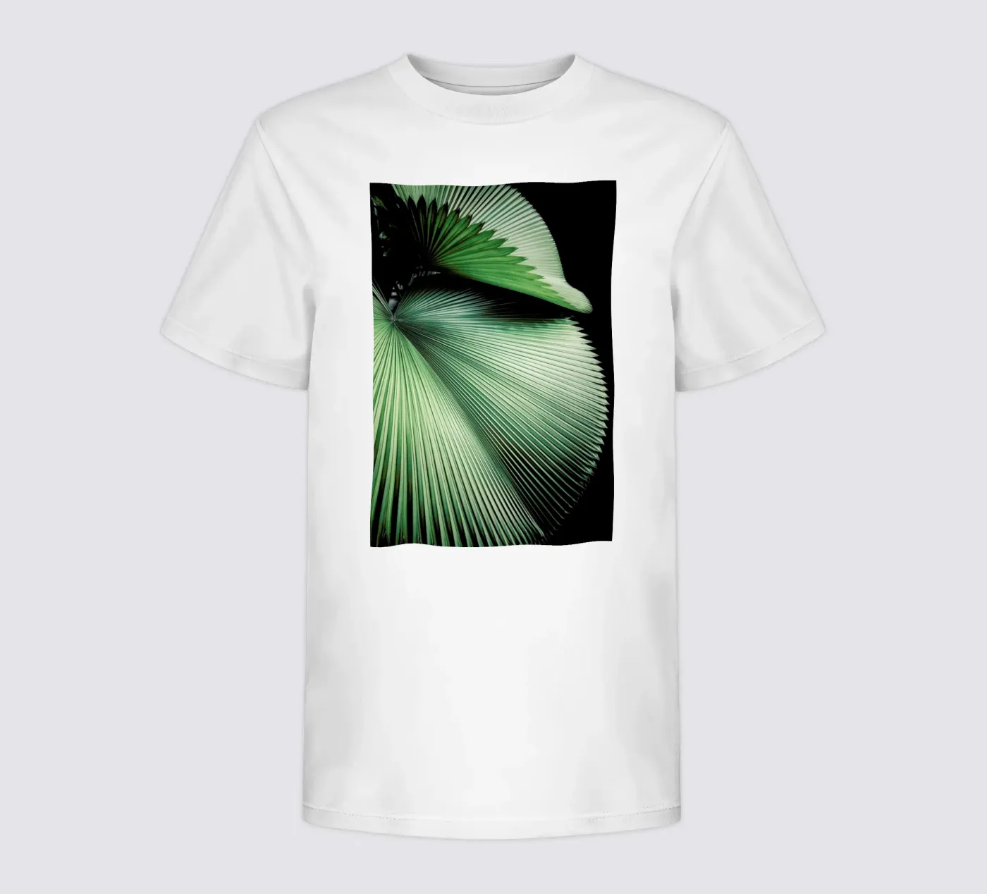 Sharp Palm t-shirt bambini da Flora & Fauna