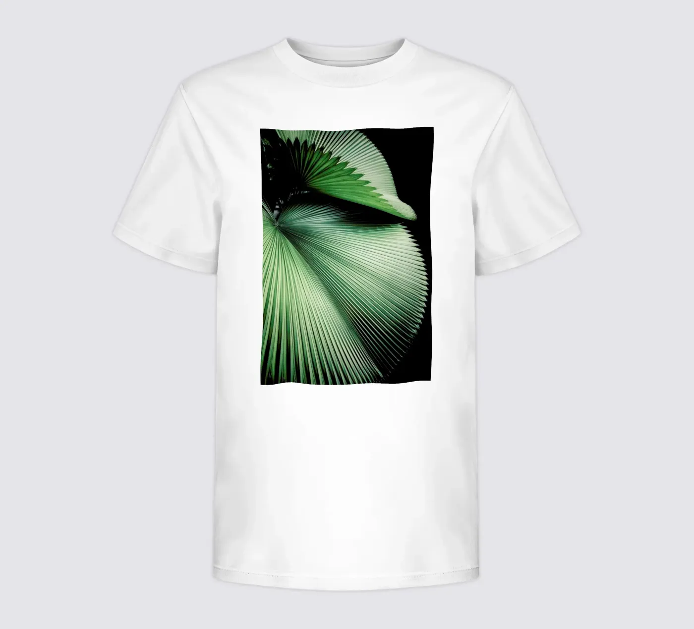 Sharp Palm t-shirt bambini da Flora & Fauna