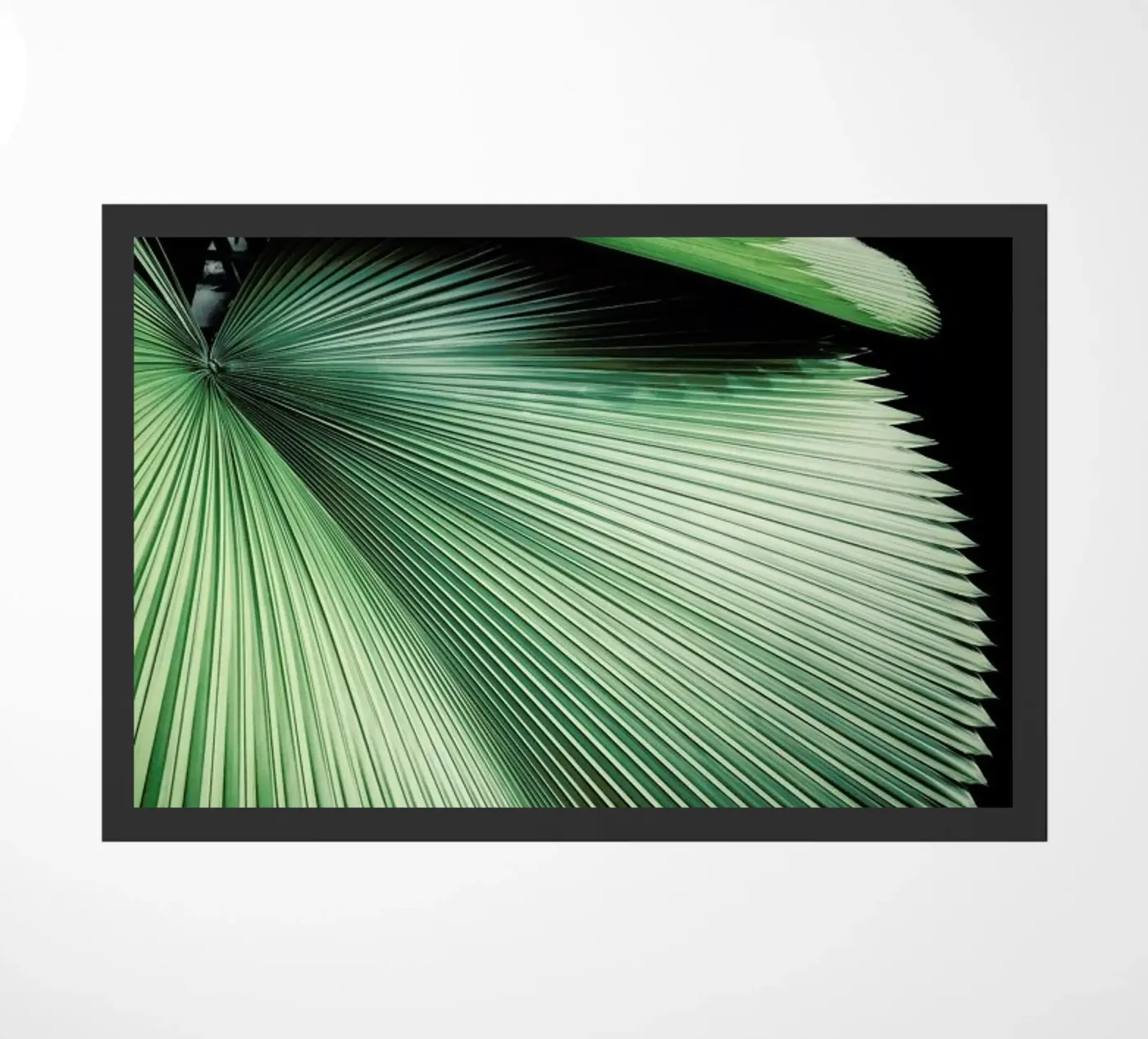 Sharp Palm doormat by Flora & Fauna