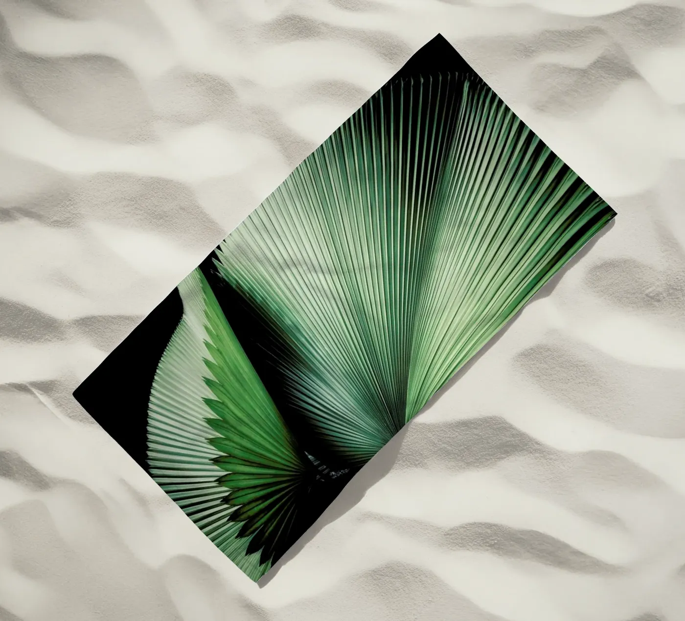 Sharp Palm telo mare da Flora & Fauna