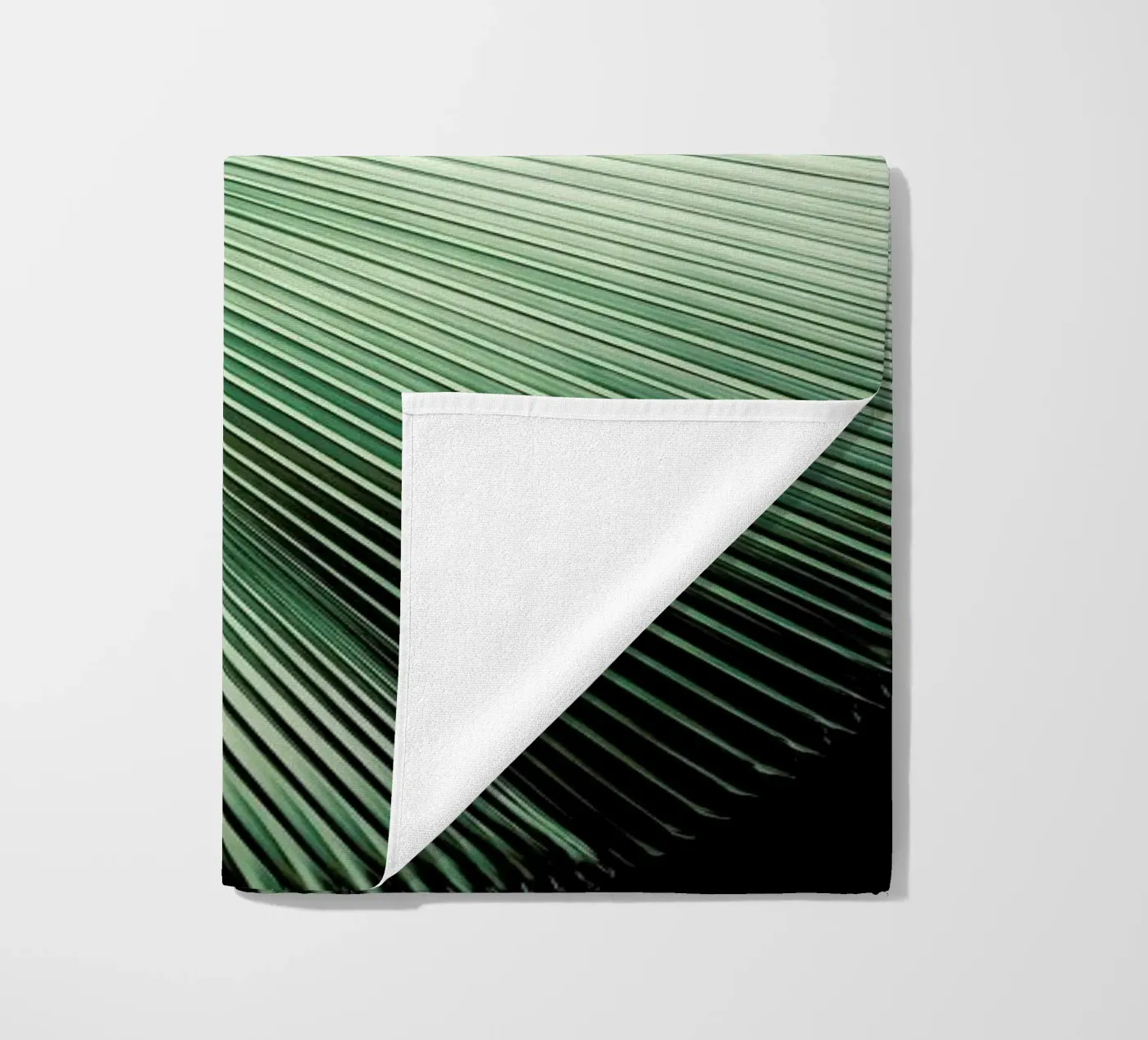 Sharp Palm telo mare da Flora & Fauna