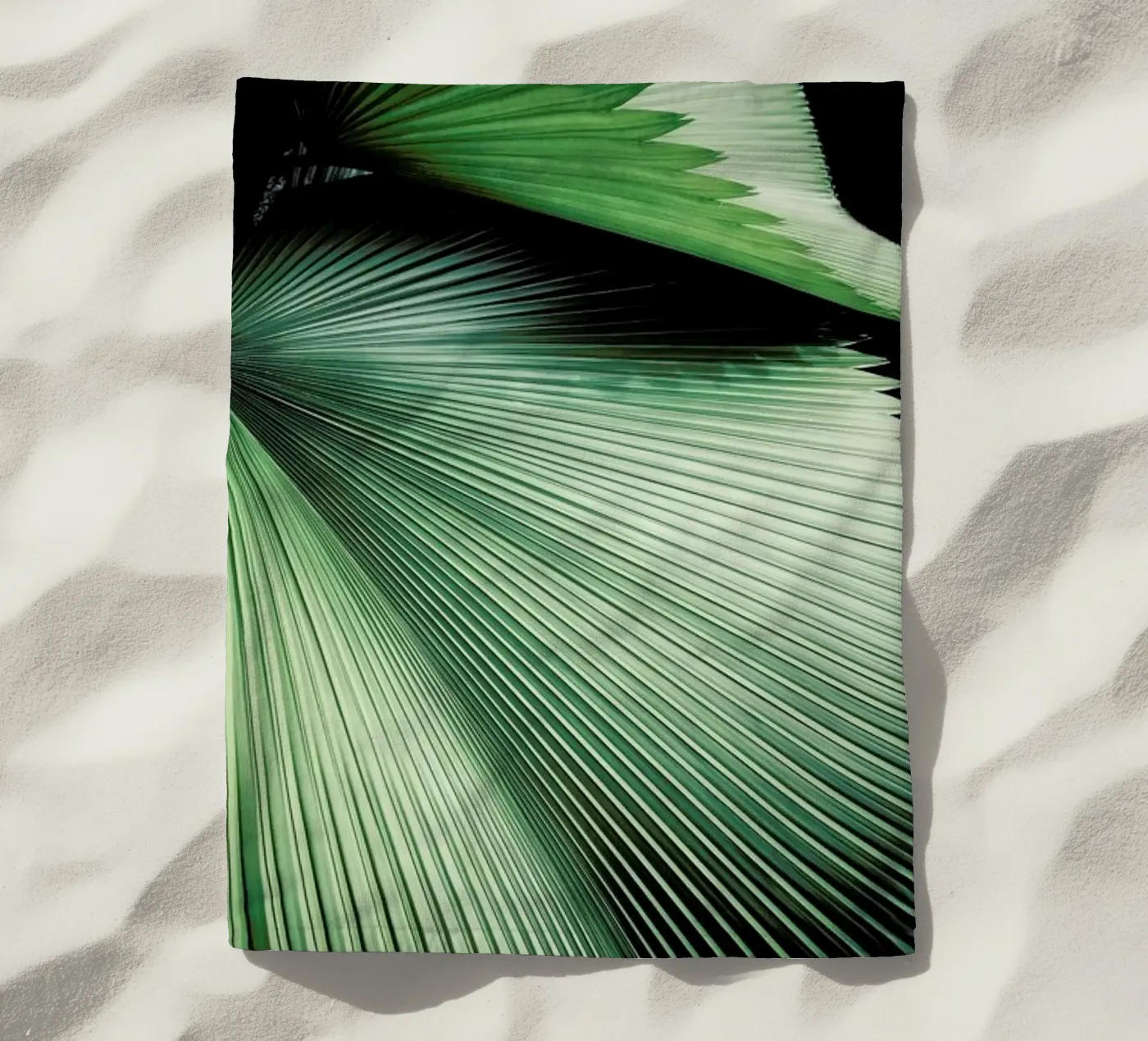 Sharp Palm telo mare da Flora & Fauna