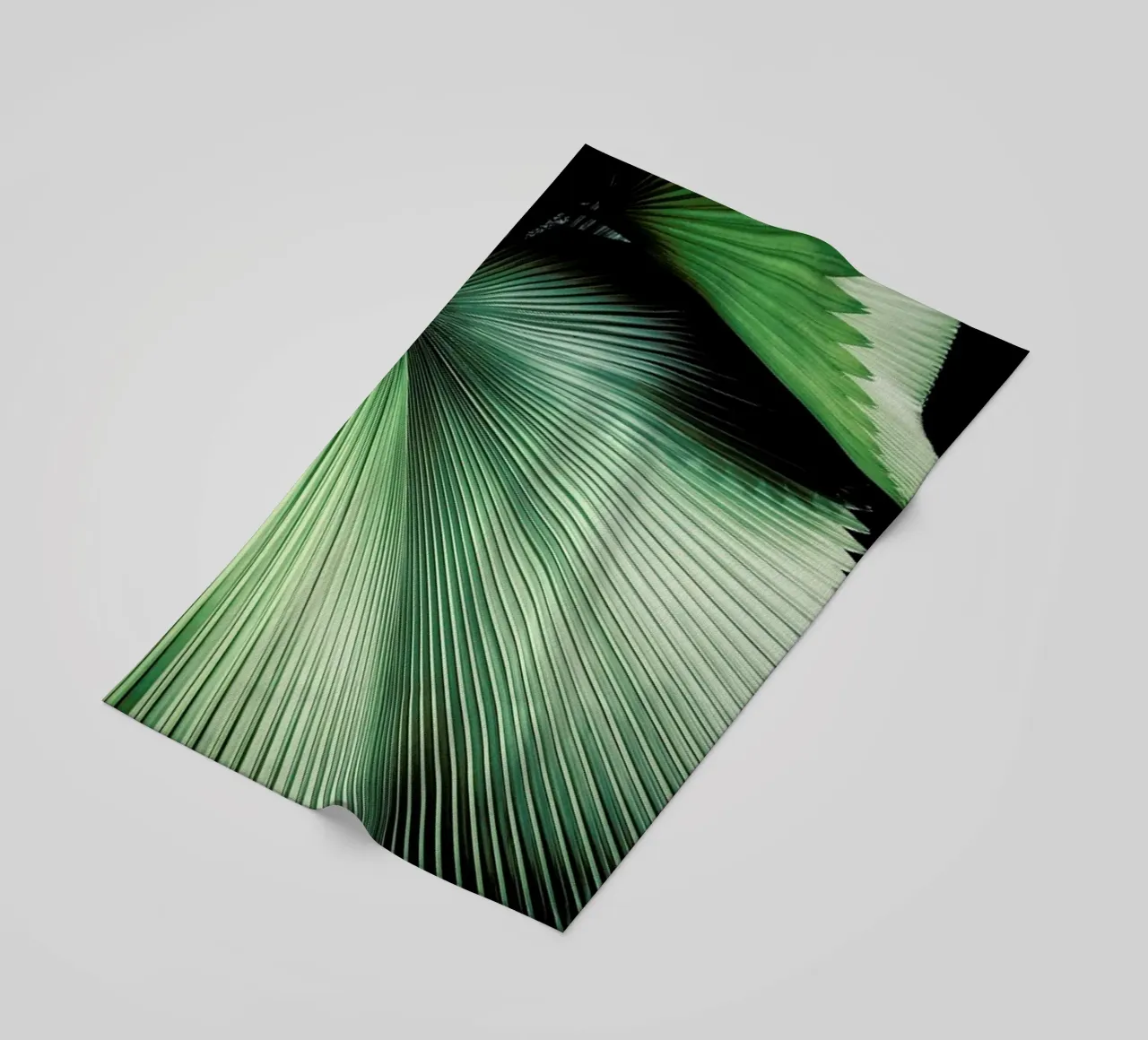 Sharp Palm telo mare da Flora & Fauna