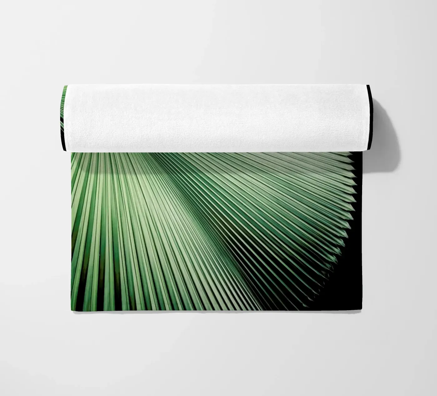 Sharp Palm telo mare da Flora & Fauna