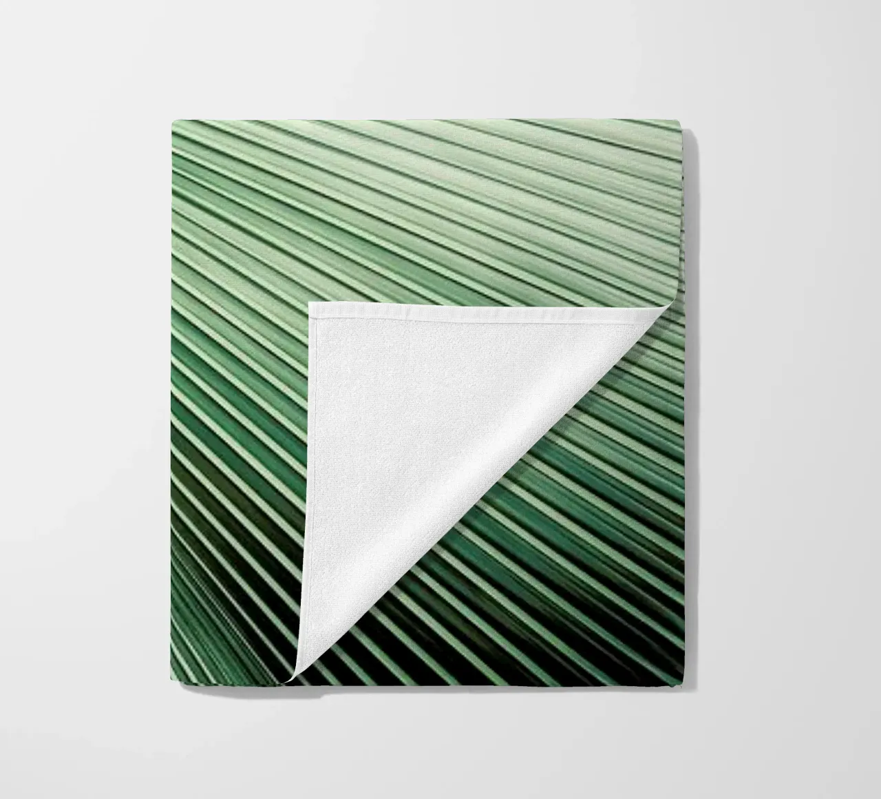 Sharp Palm telo mare da Flora & Fauna