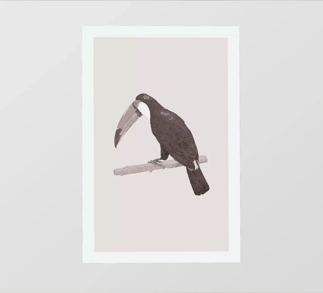 Toucan Pink pellicola backlit da Flora & Fauna
