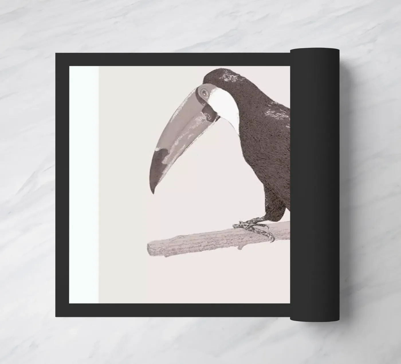 Toucan Pink zerbino da Flora & Fauna