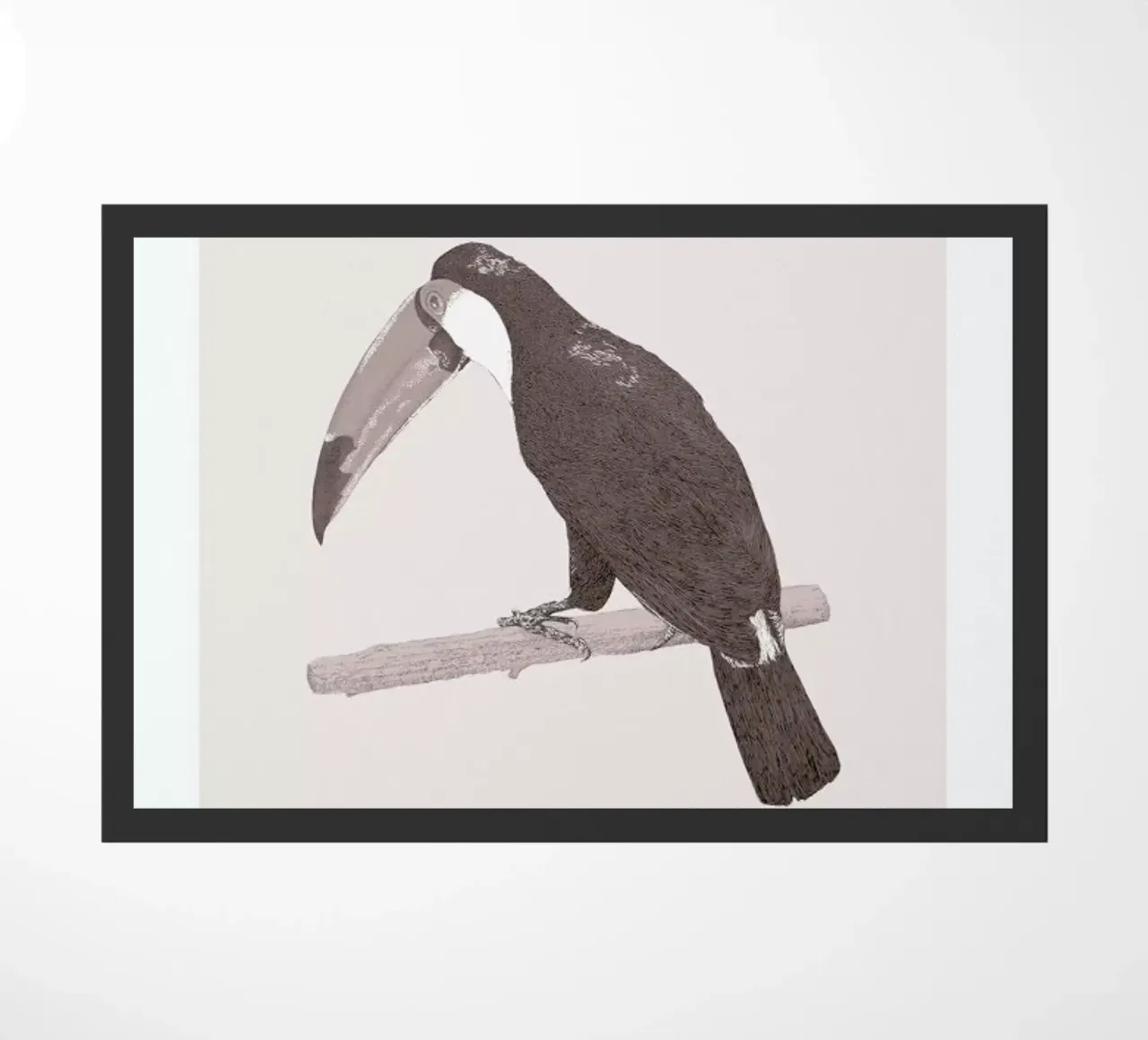Toucan Pink zerbino da Flora & Fauna